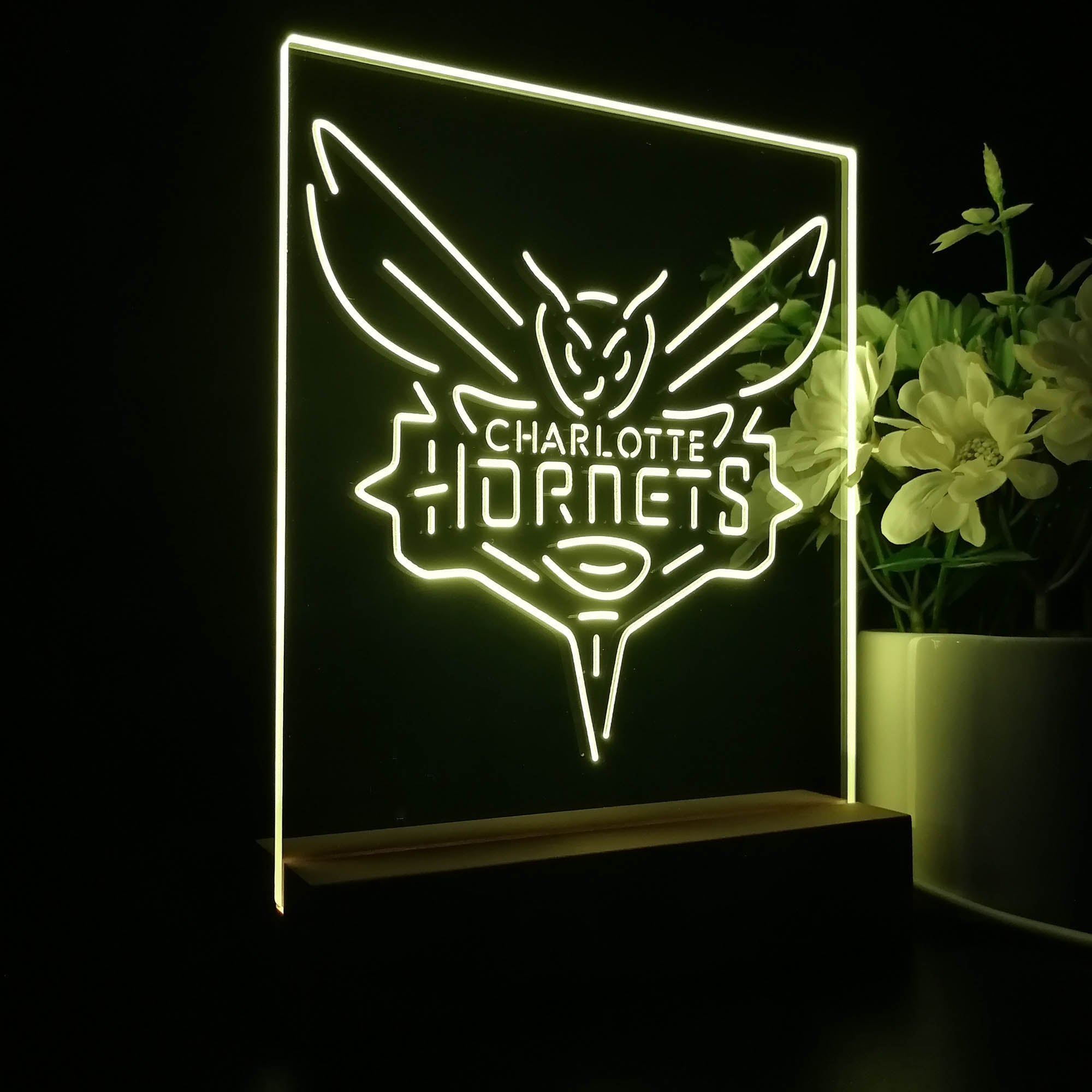 Charlotte Hornets Sport Team Night Lamp 3D Illusion Lamp