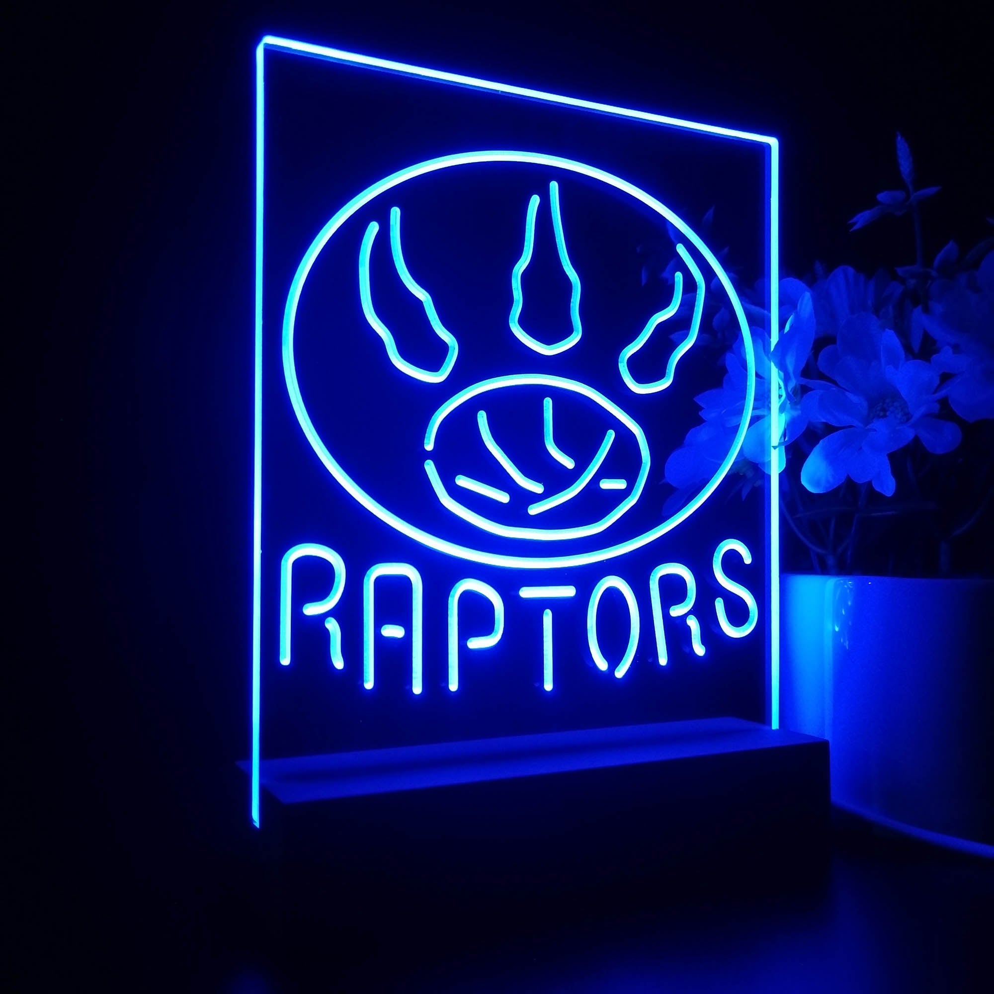 Toronto Raptors Sport Team Night Lamp 3D Illusion Lamp