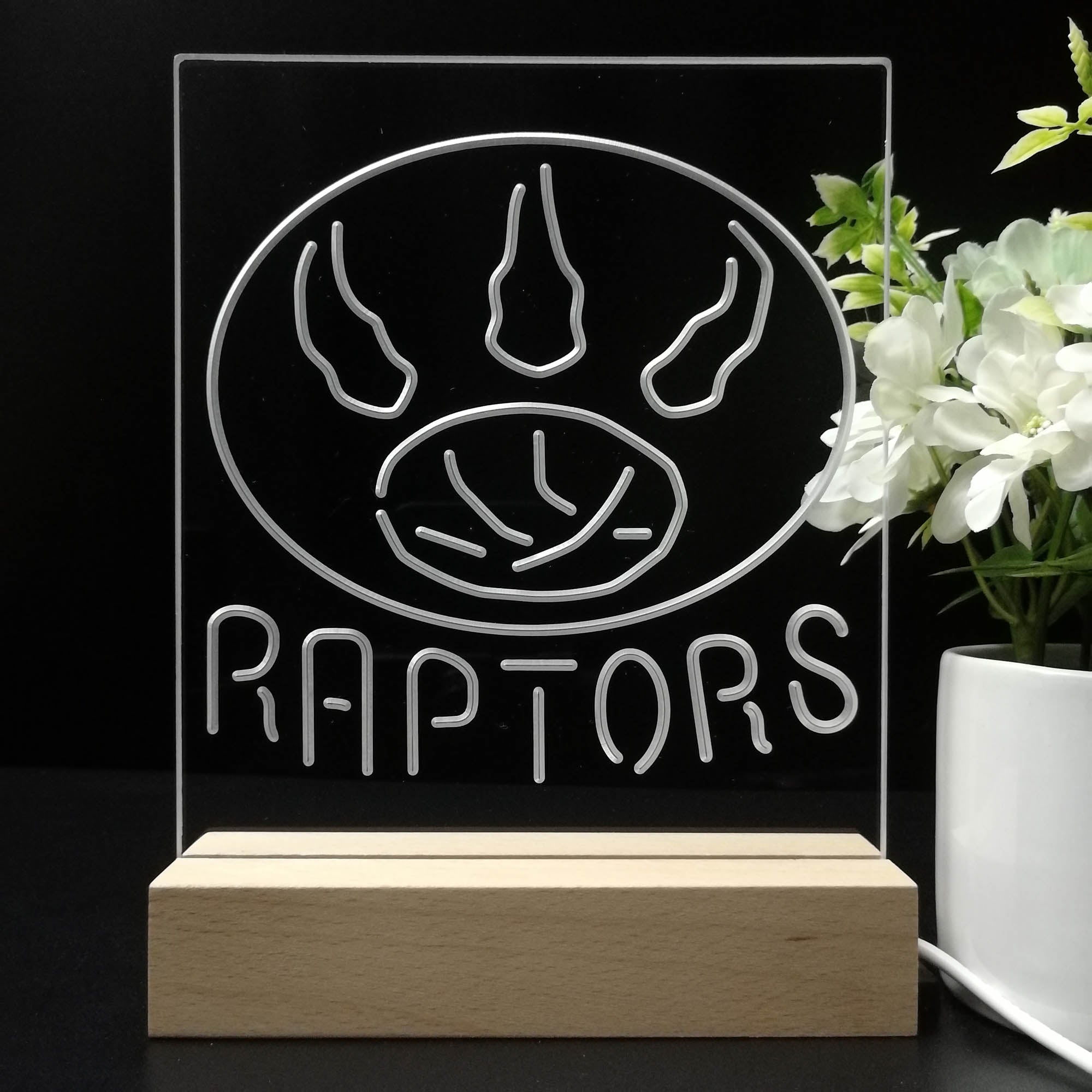 Toronto Raptors Sport Team Night Lamp 3D Illusion Lamp