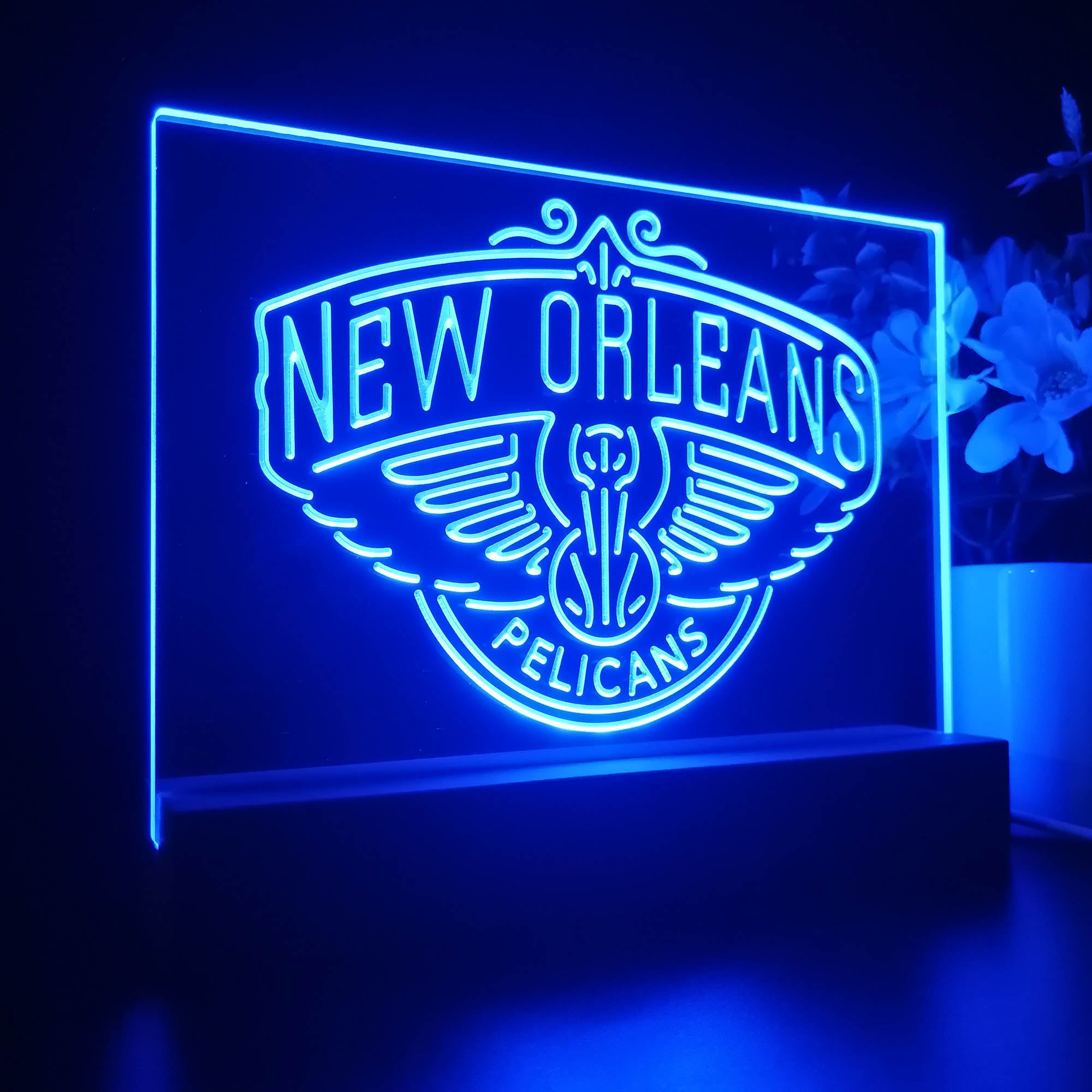 New Orleans Pelicans Sport Team Night Lamp 3D Illusion Lamp