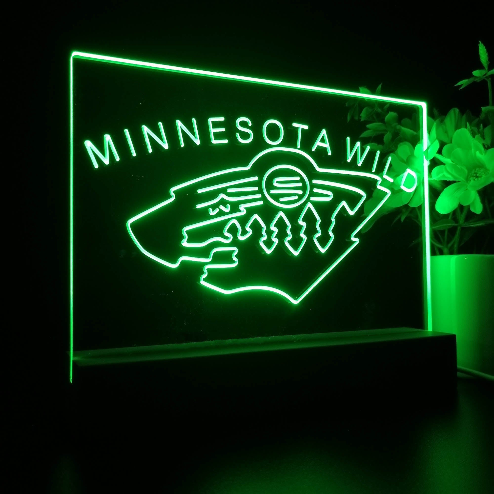 Minnesota Sport Team Wild Sport Team Night Lamp 3D Illusion Lamp