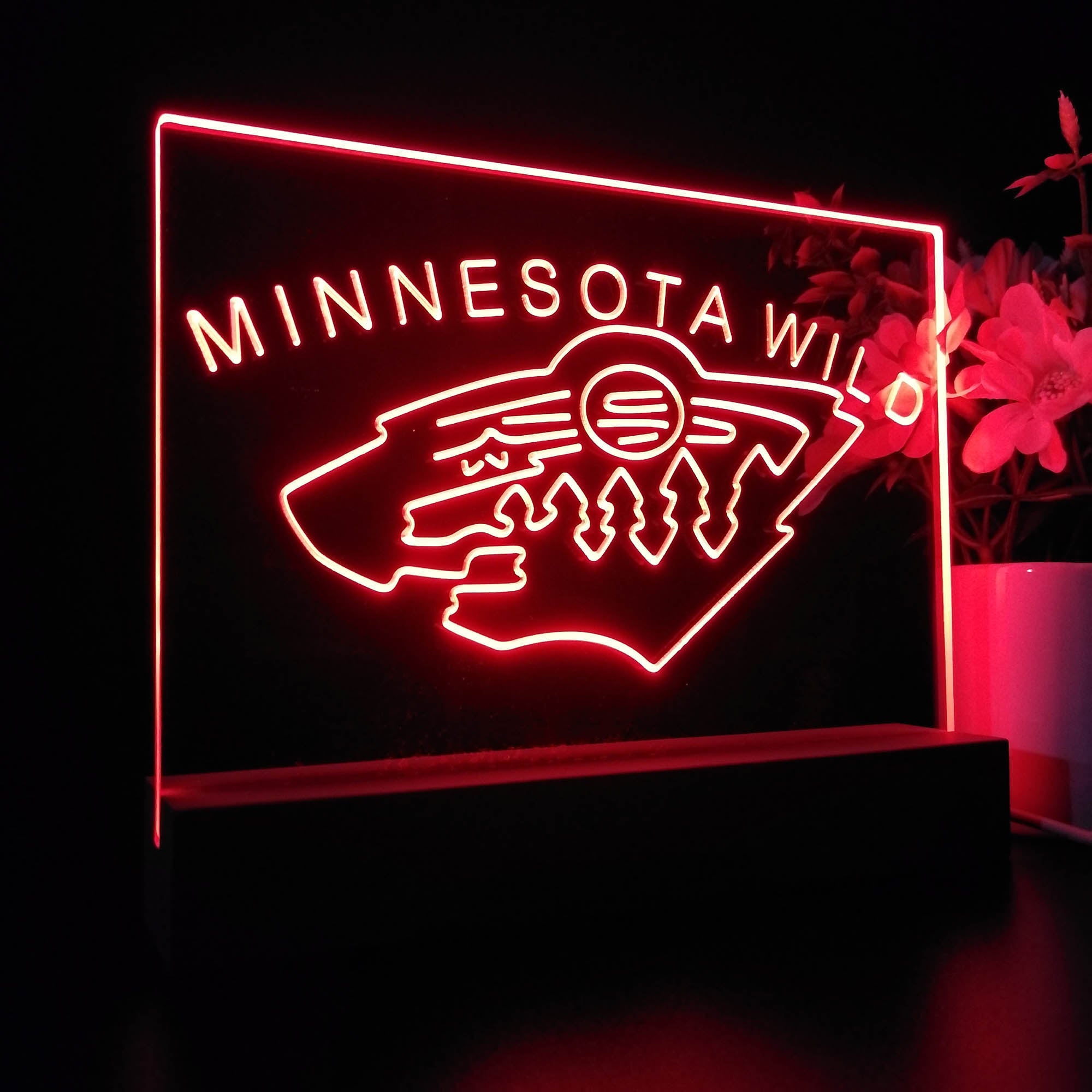 Minnesota Sport Team Wild Sport Team Night Lamp 3D Illusion Lamp
