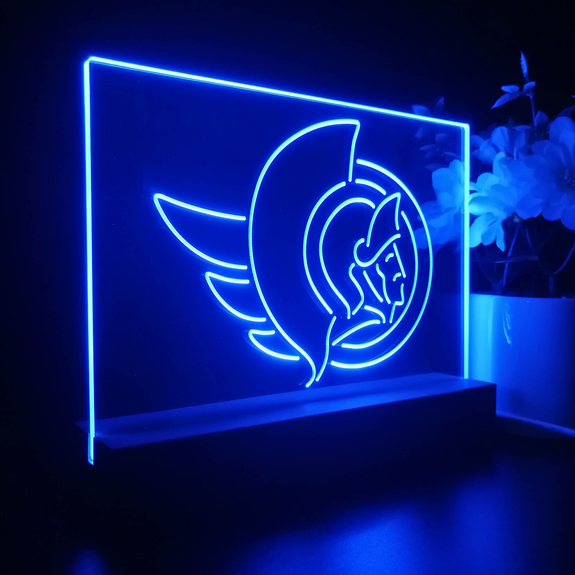 Ottawa Senators Night Light LED Sign