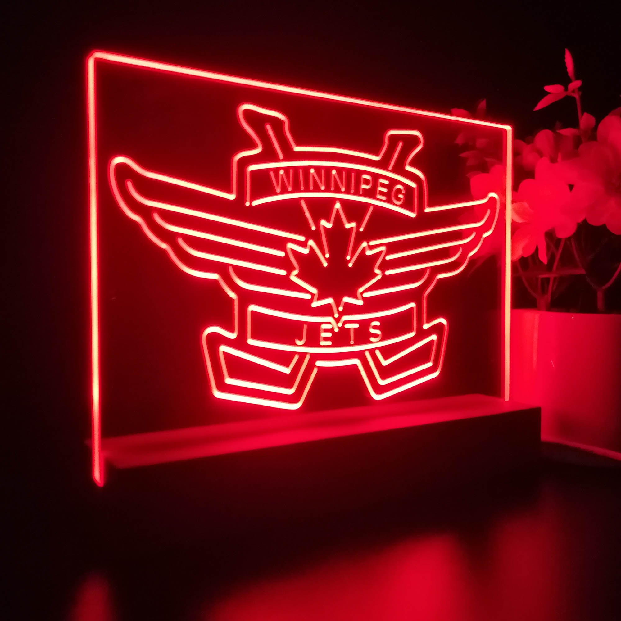 Winnipeg Jets Night Light LED Sign