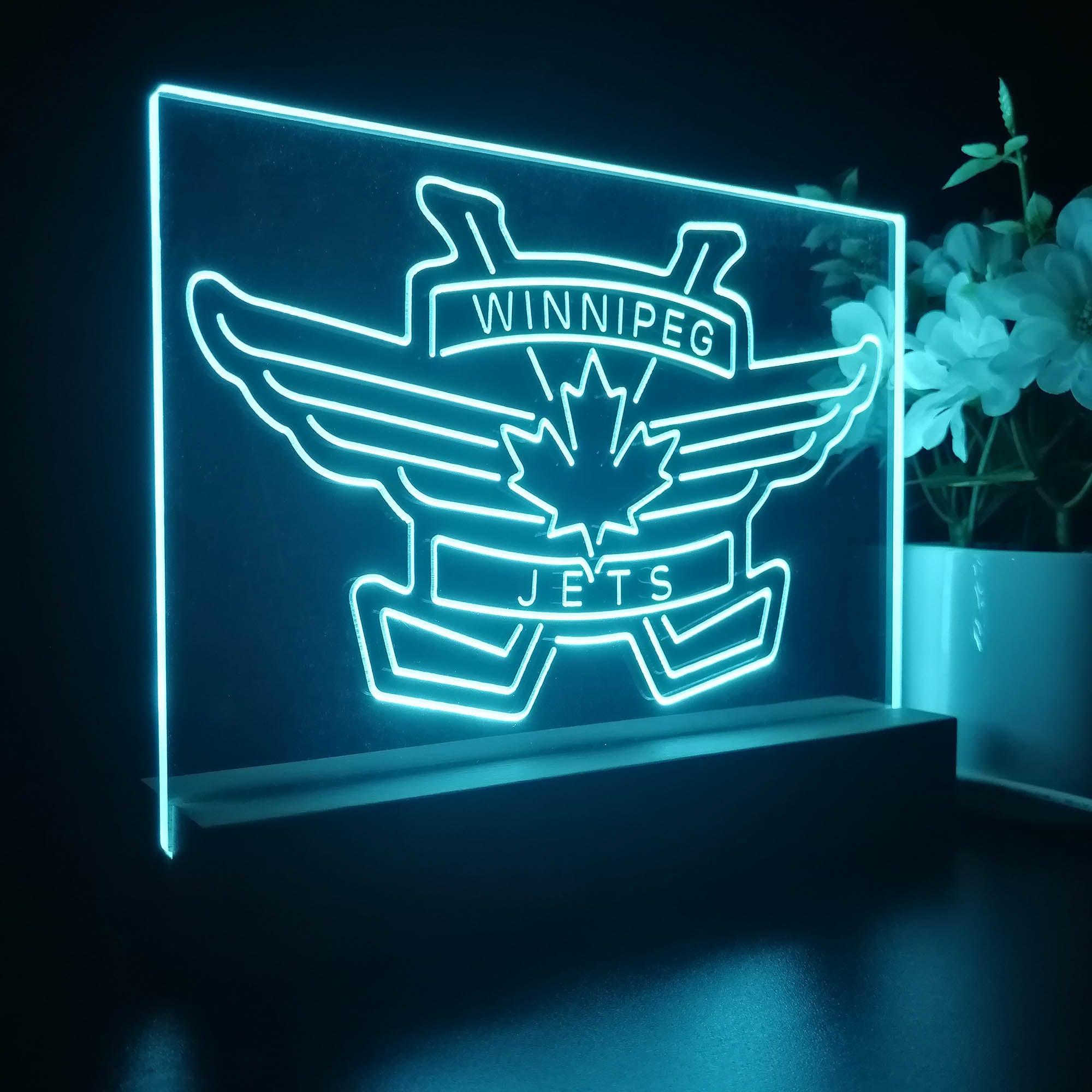 Winnipeg Jets Night Light LED Sign