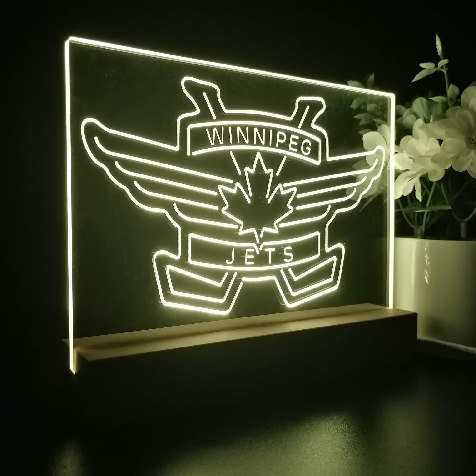 Winnipeg Jets Night Light LED Sign