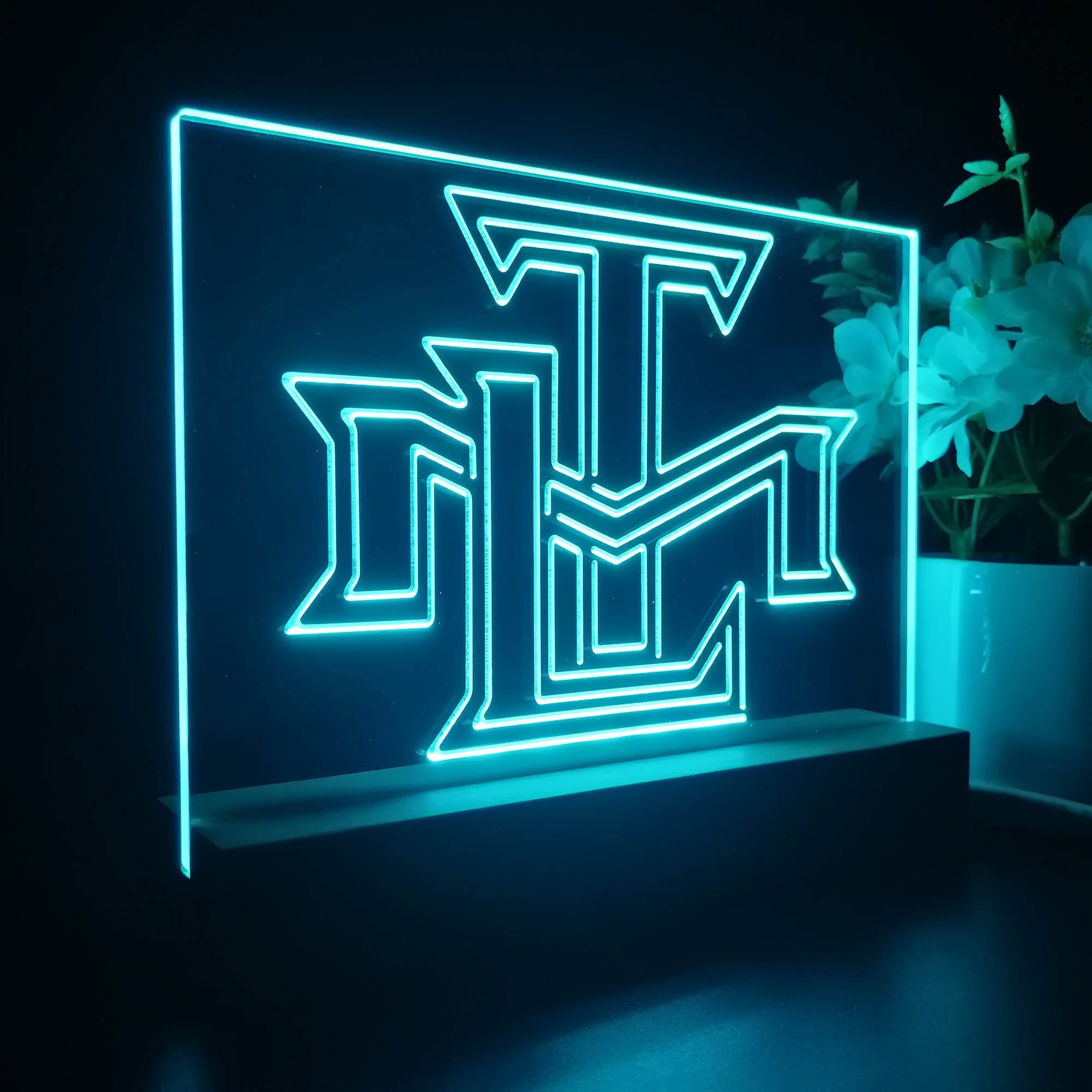 Toronto Maple Leafs Sport Team Night Light 3D Illusion Lamp