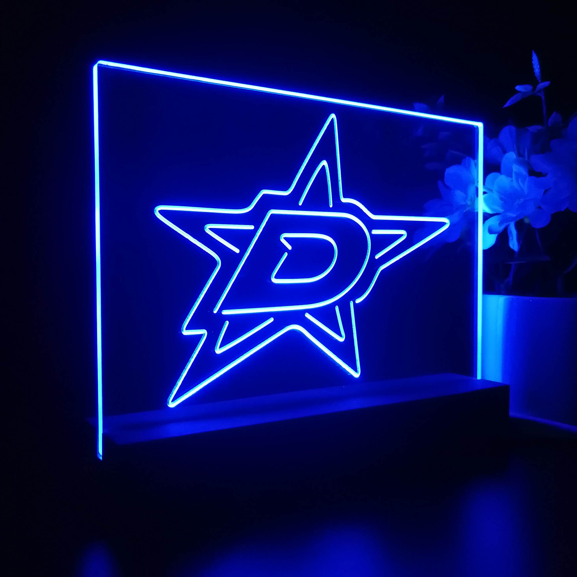 Dallas Stars Sport Team Night Light 3D Illusion Lamp