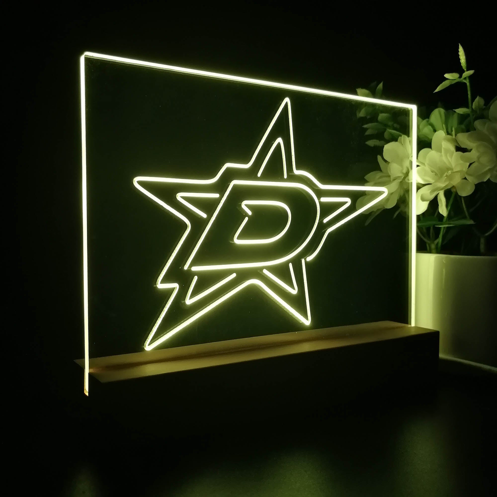Dallas Stars Sport Team Night Light 3D Illusion Lamp