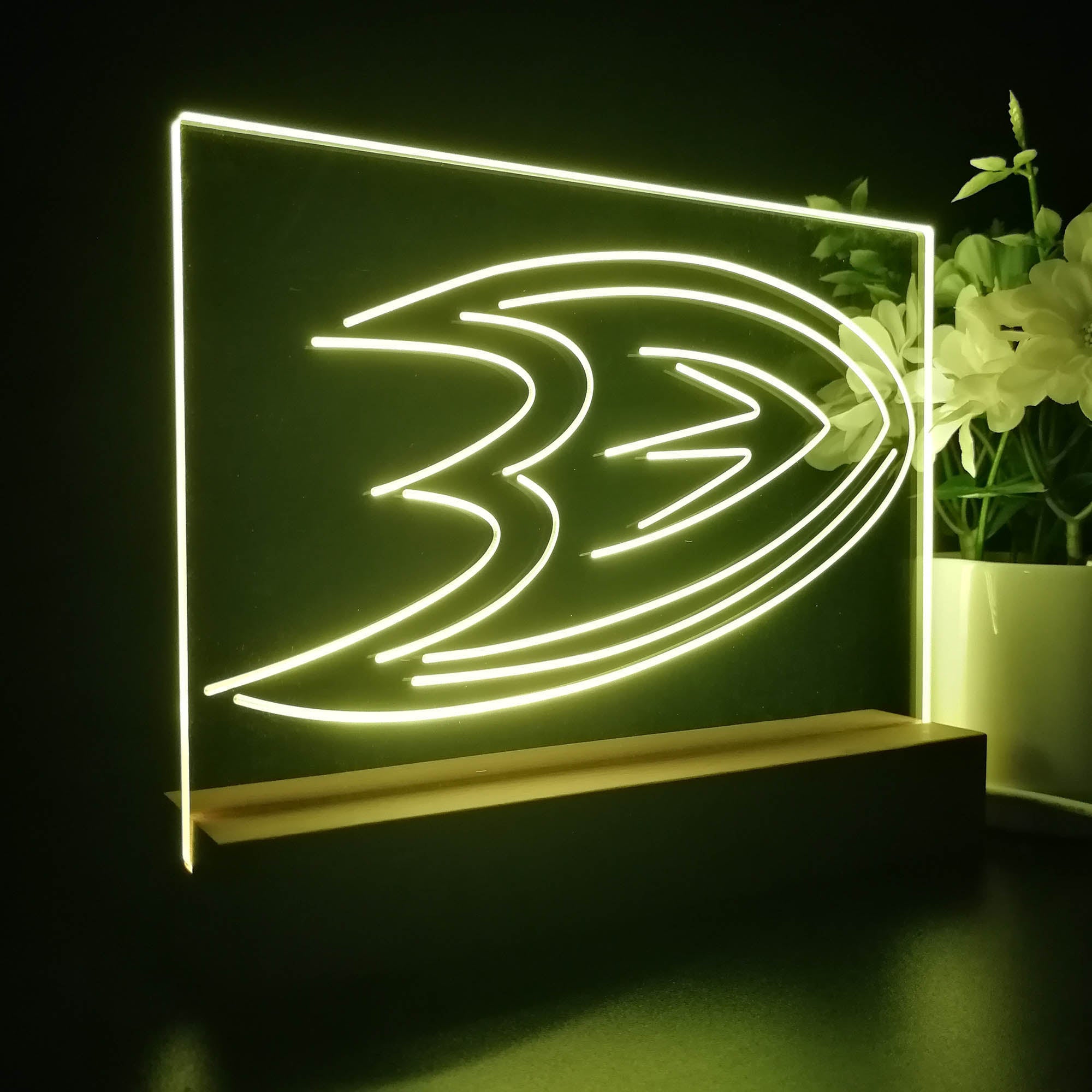 Anaheim Ducks Sport Team Night Light 3D Illusion Lamp