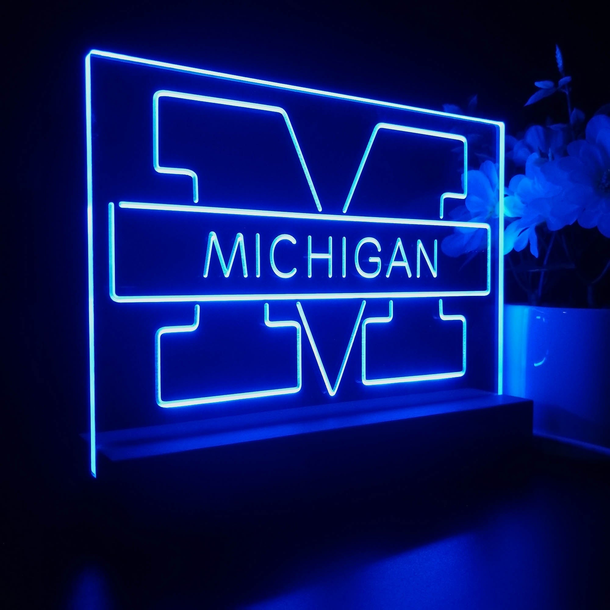 Michigan Wolverines Night Light LED Sign