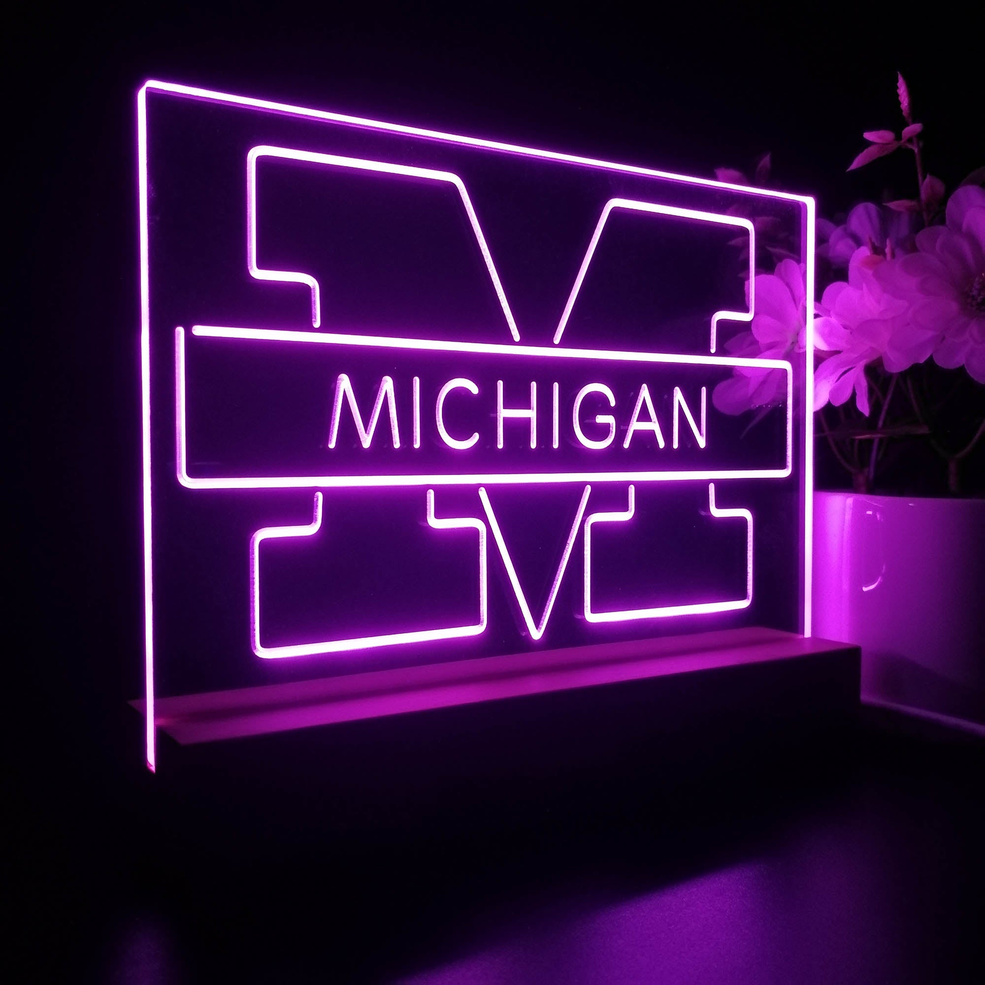 Michigan Wolverines Night Light LED Sign