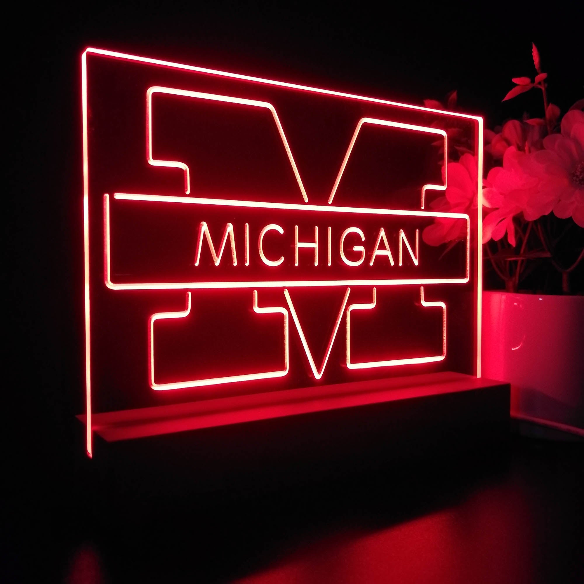 Michigan Wolverines Night Light LED Sign