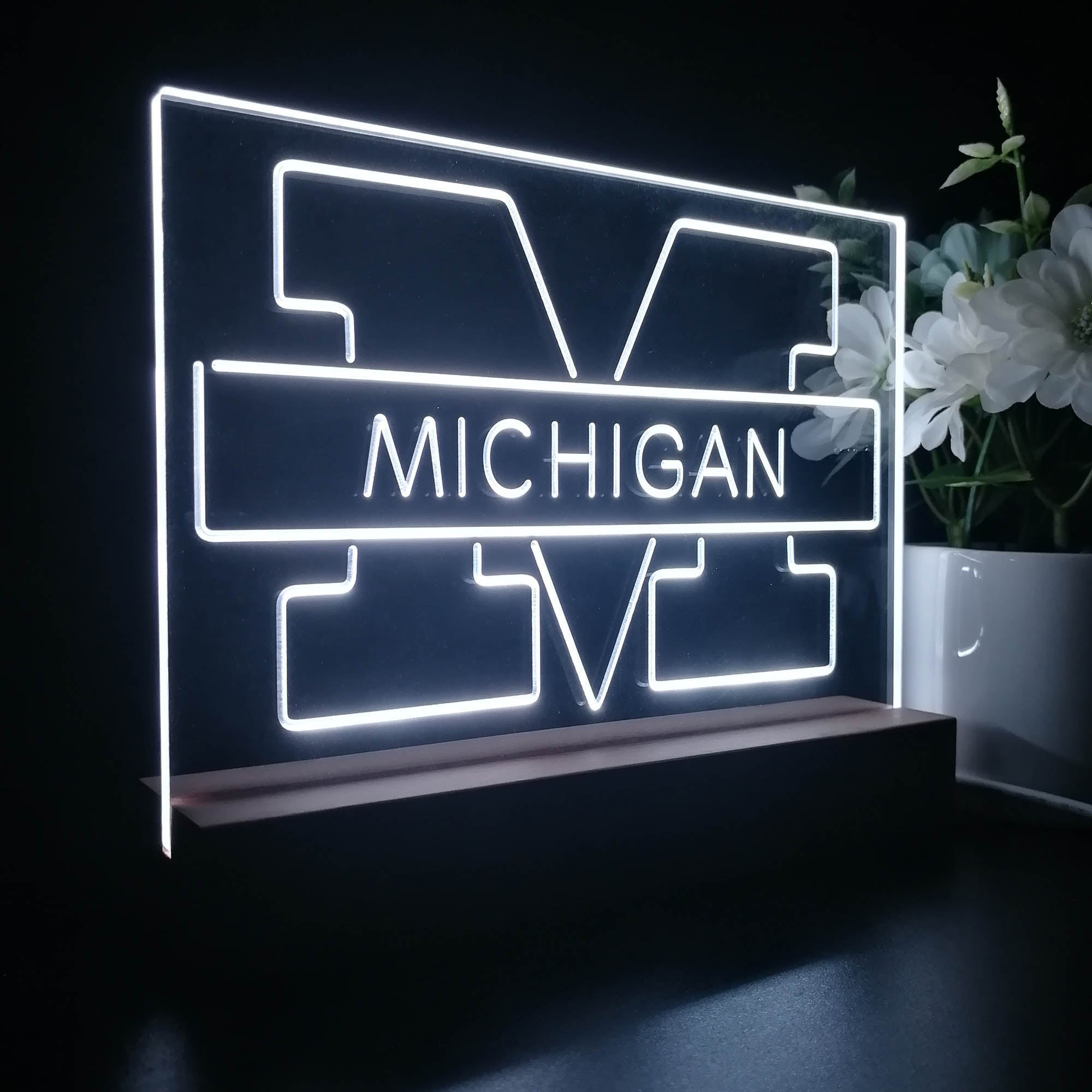 Michigan Wolverines Night Light LED Sign