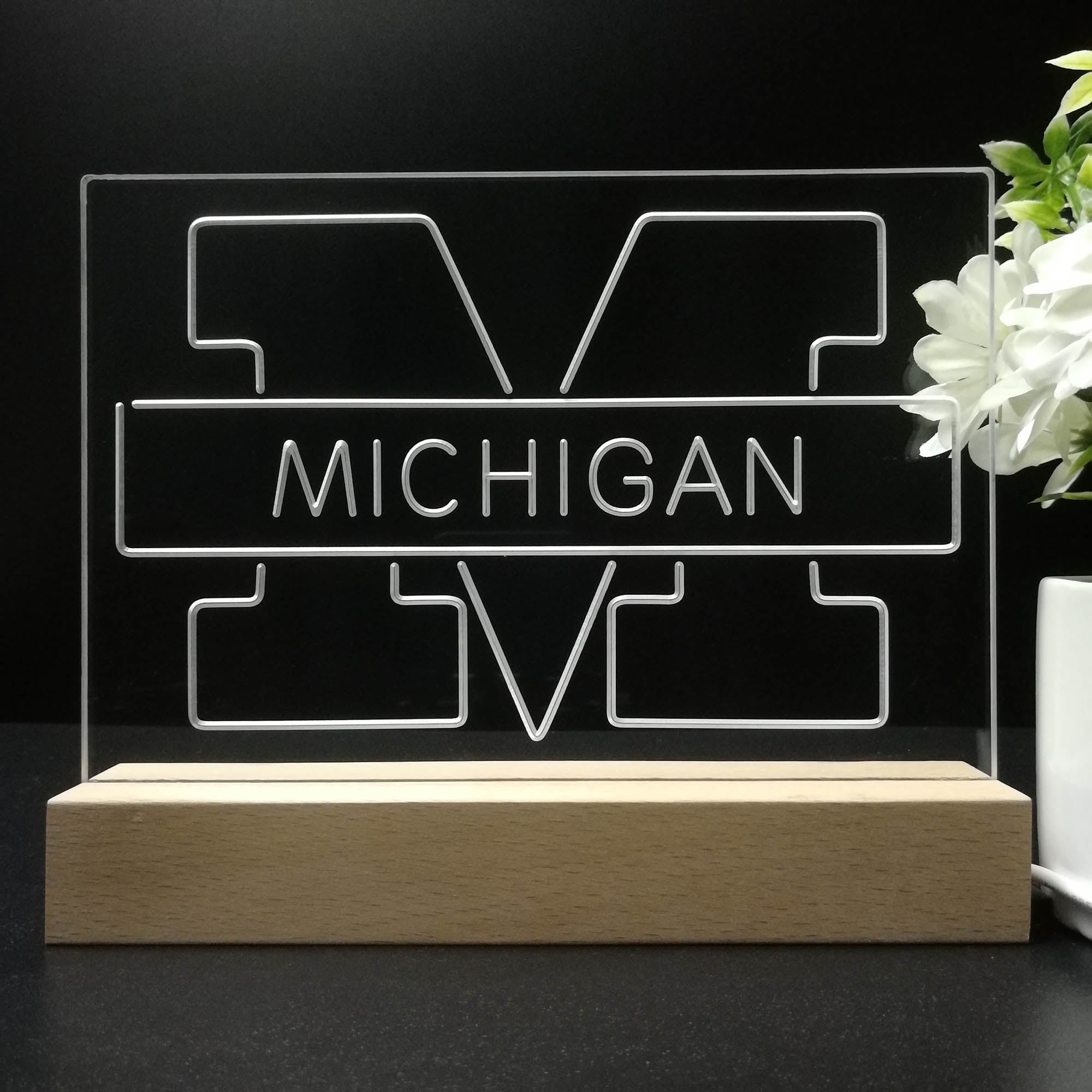 Michigan Wolverines Night Light LED Sign