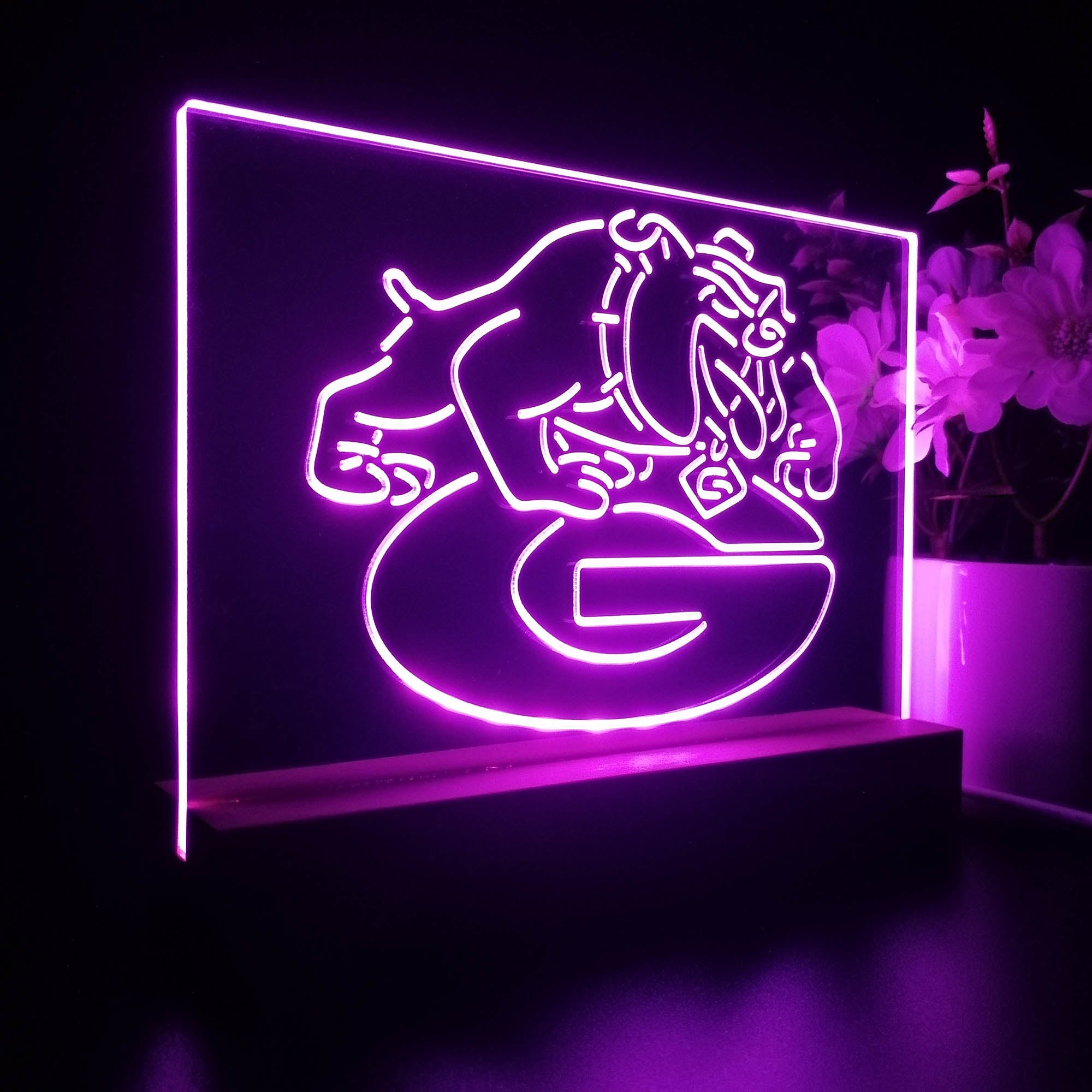 Georgia Bulldogs Night Light LED Sign