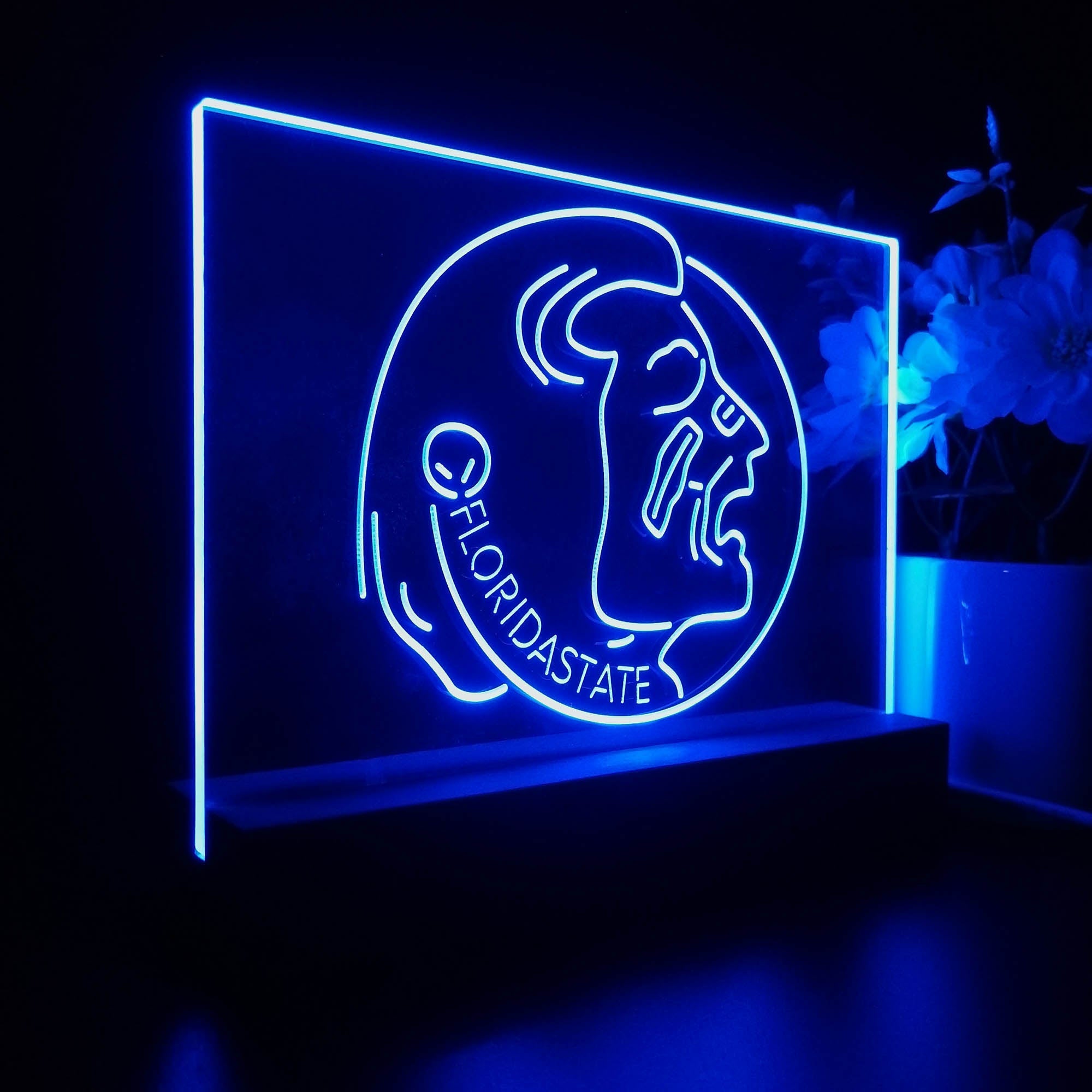 Florida State Seminoles Night Light LED Sign