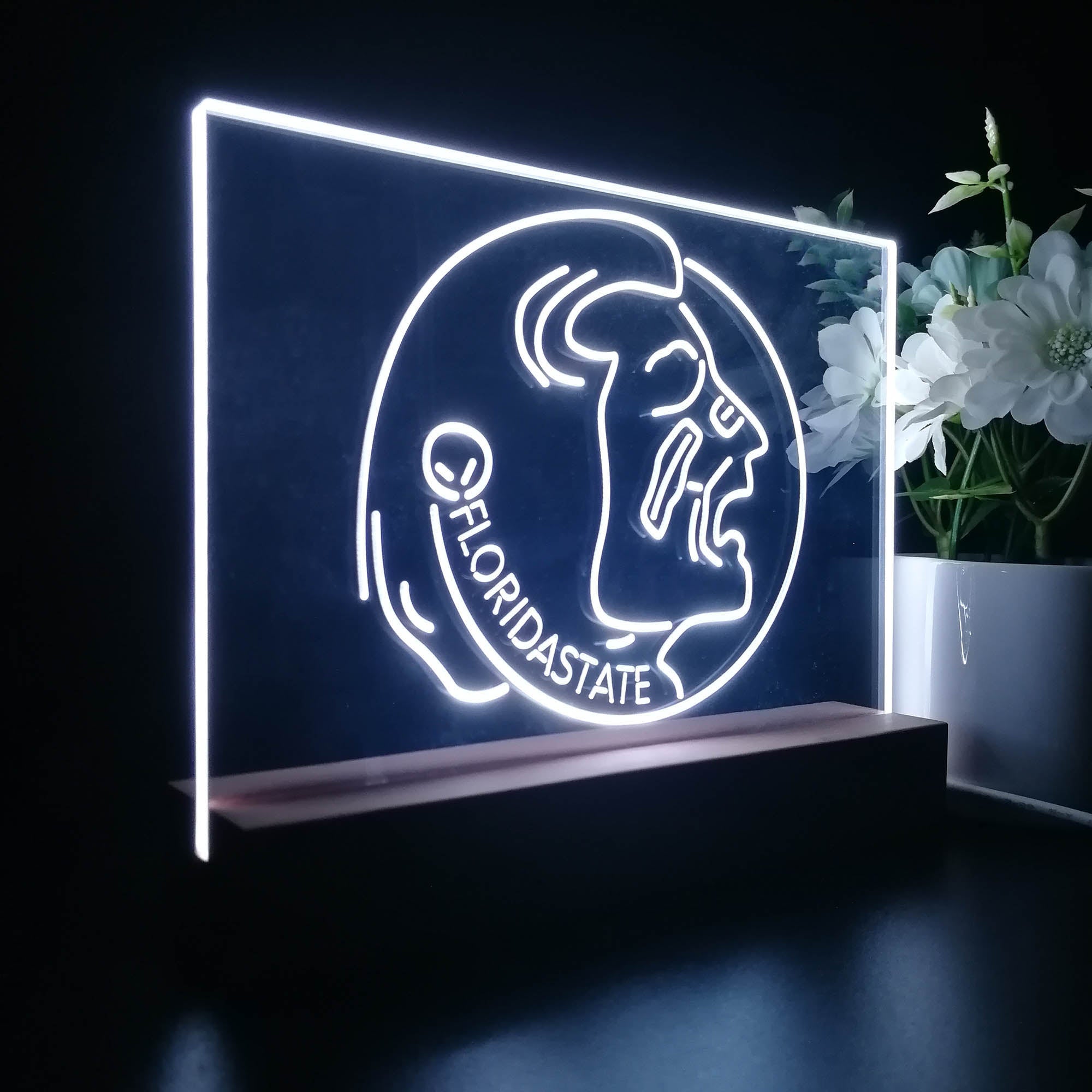 Florida State Seminoles Night Light LED Sign