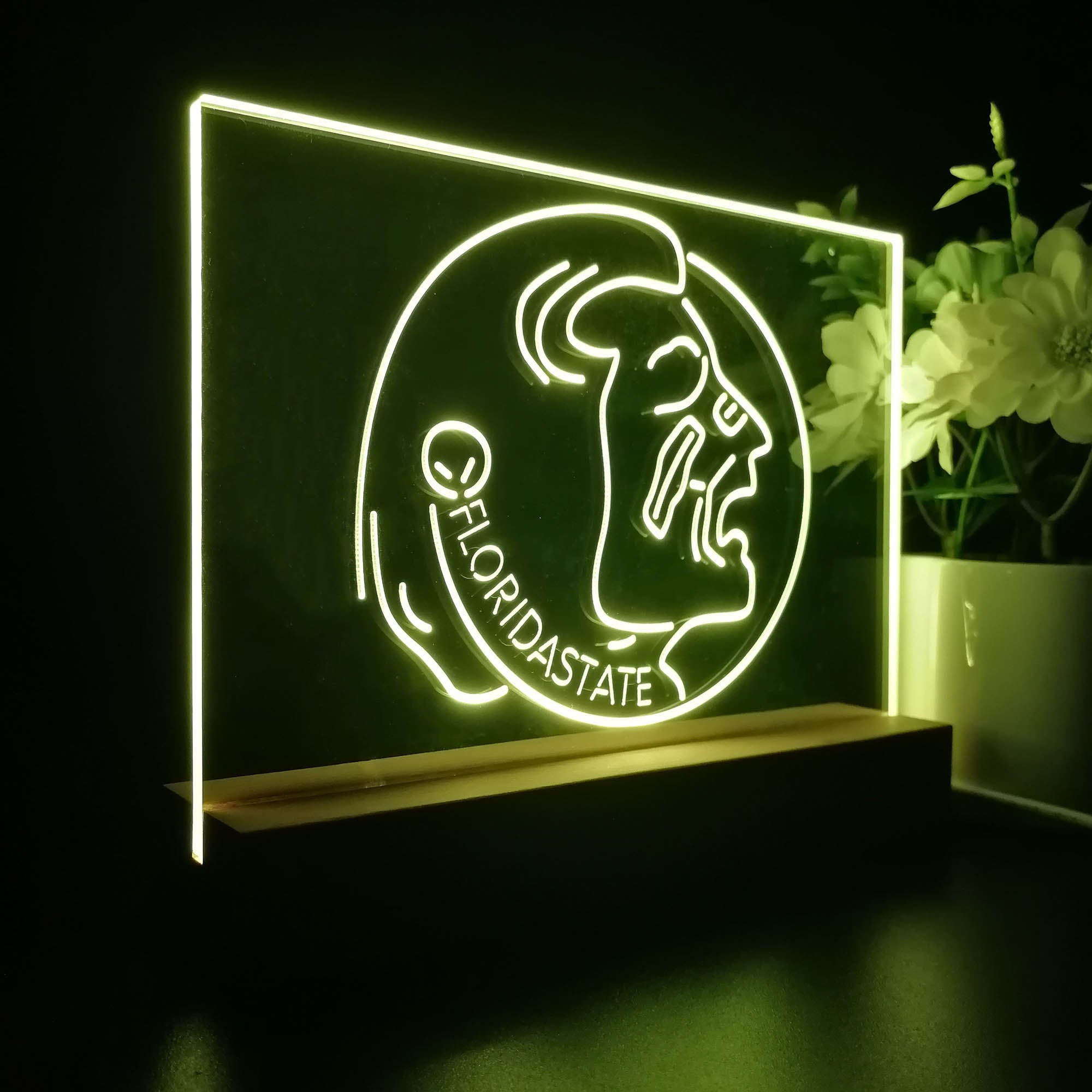 Florida State Seminoles Night Light LED Sign