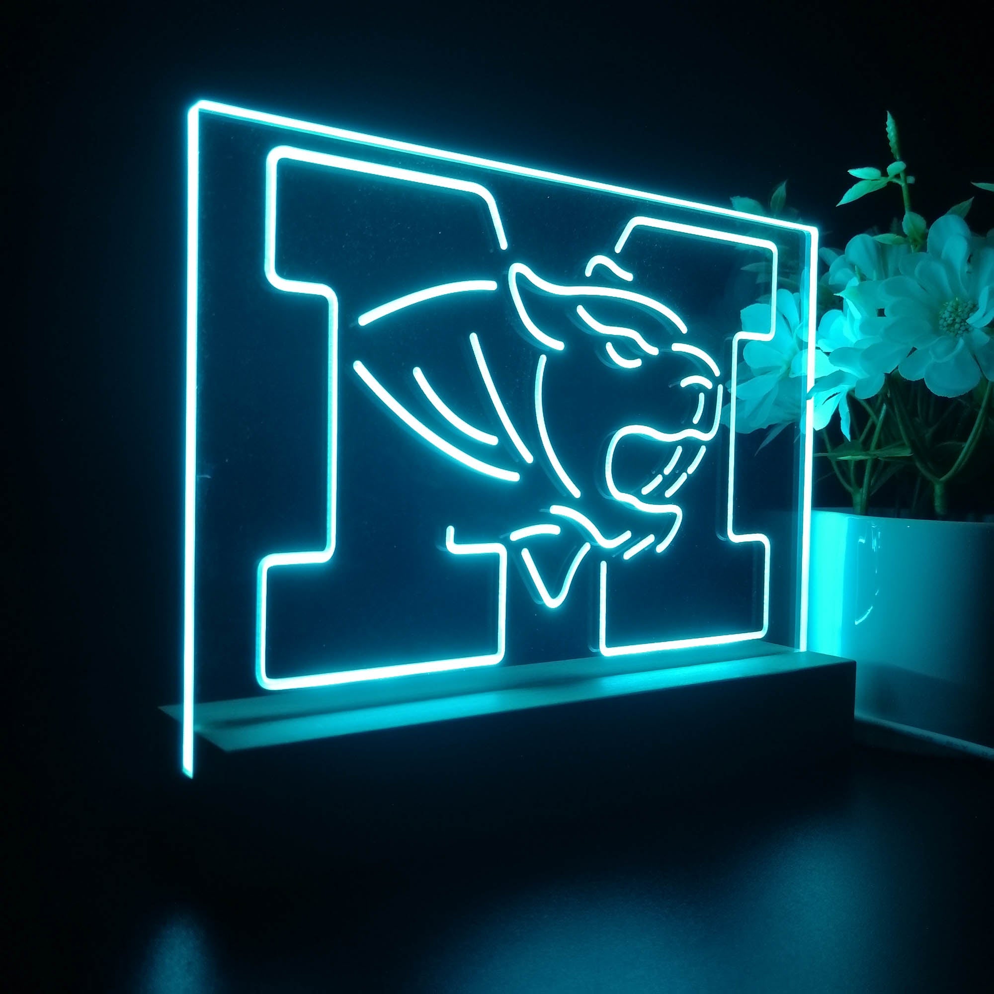 University of Missouri Tigers Sport Team Night Light 3D Illusion Lamp