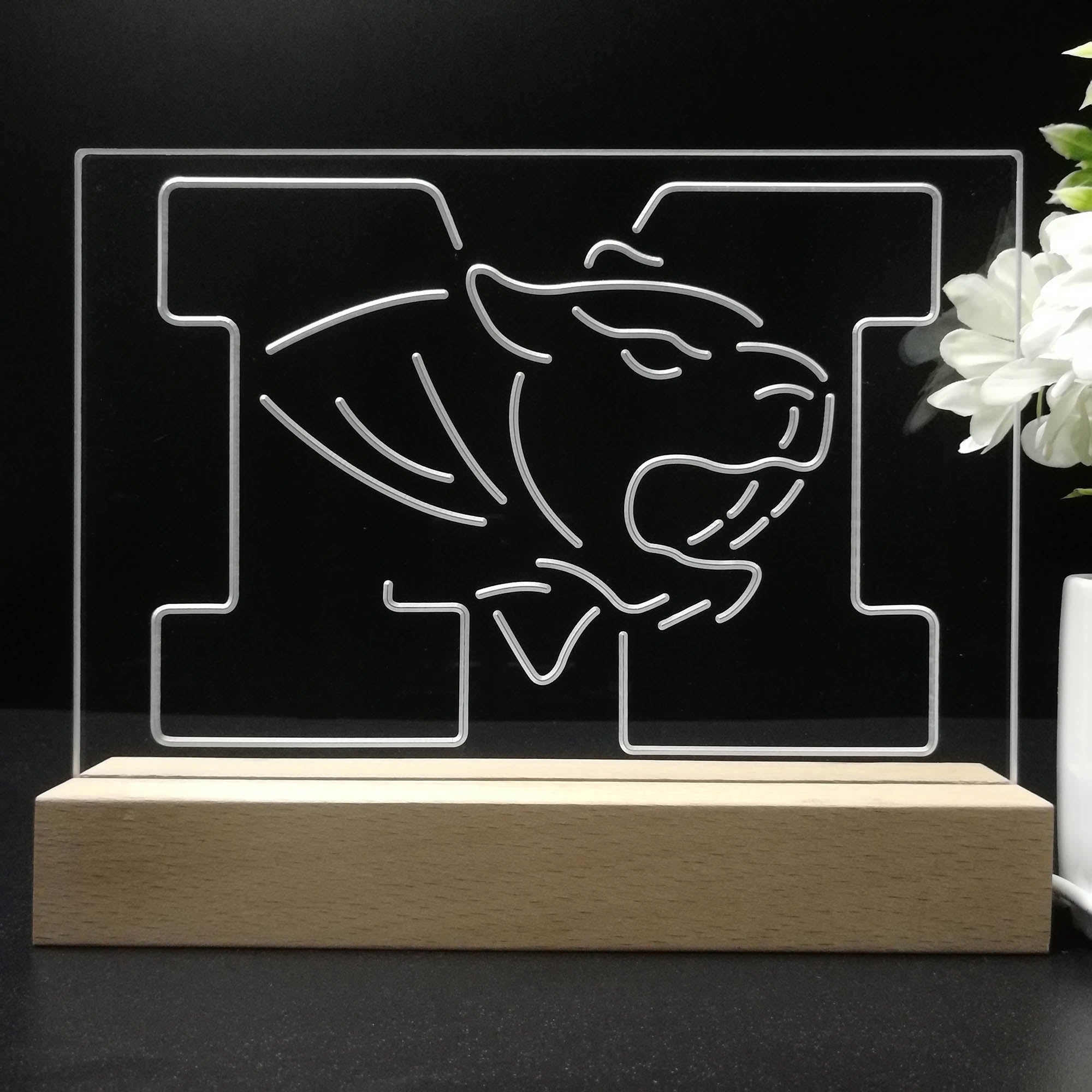 University of Missouri Tigers Night Light LED Sign