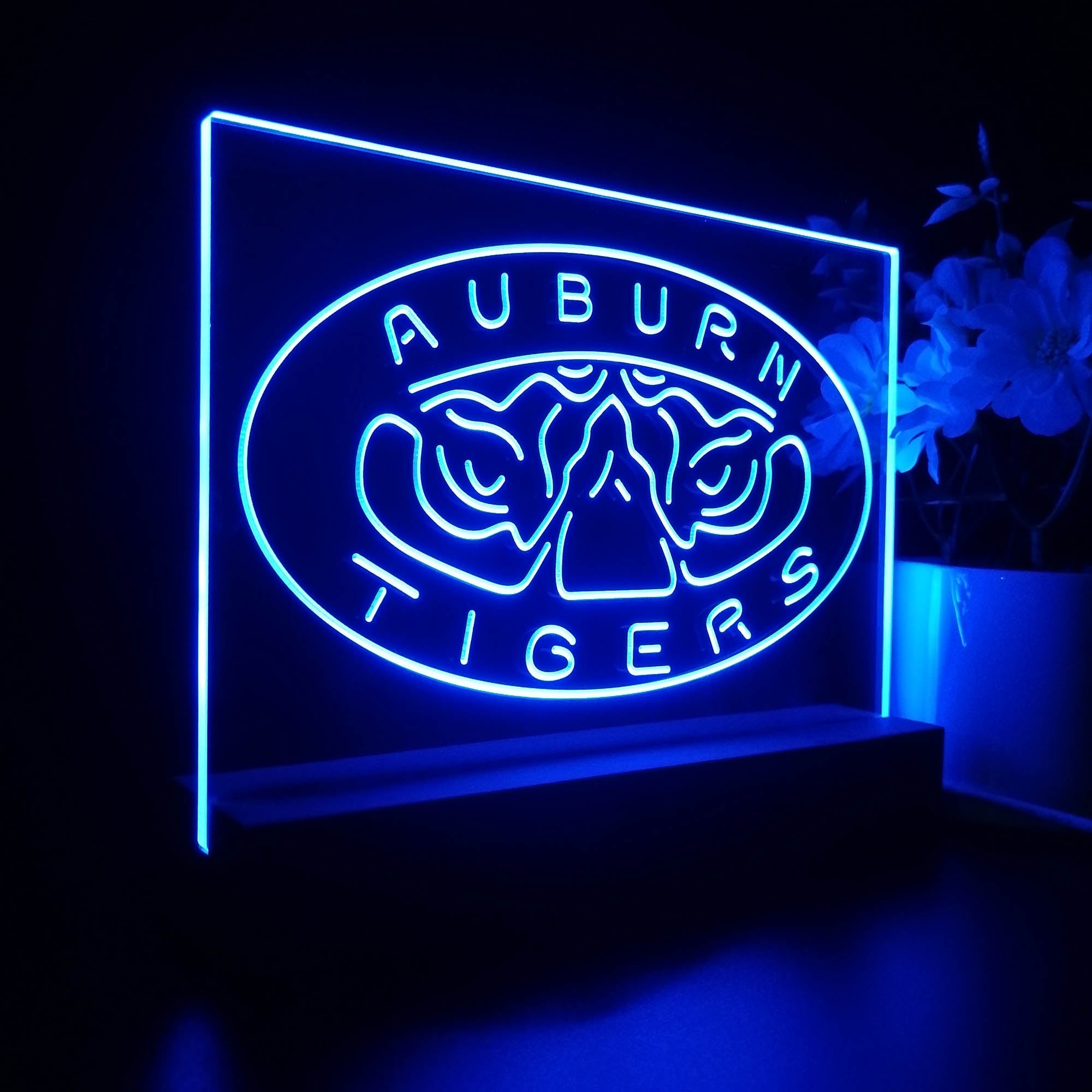 Auburn Tigers Sport Team Night Light 3D Illusion Lamp