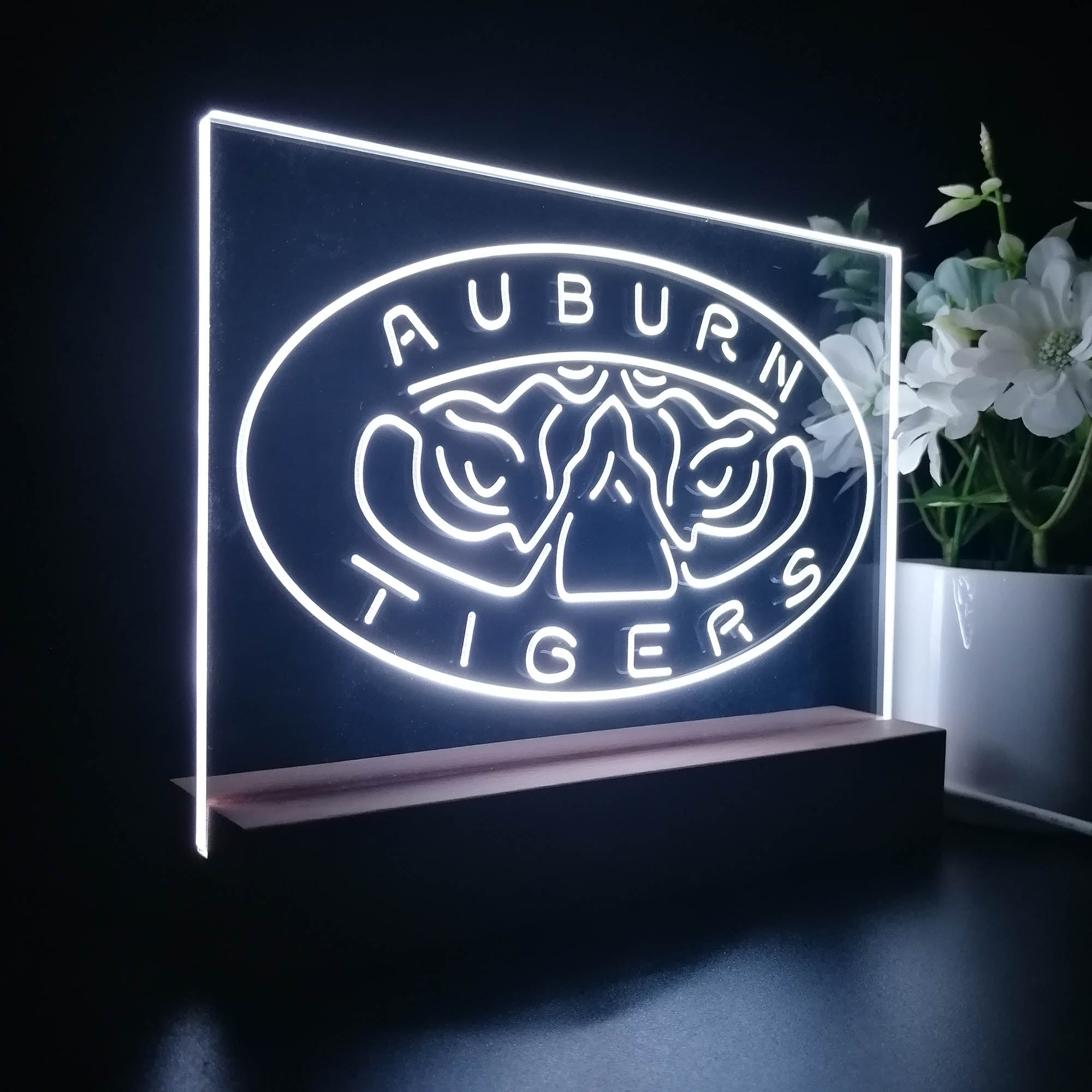 Auburn Tigers Sport Team Night Light 3D Illusion Lamp