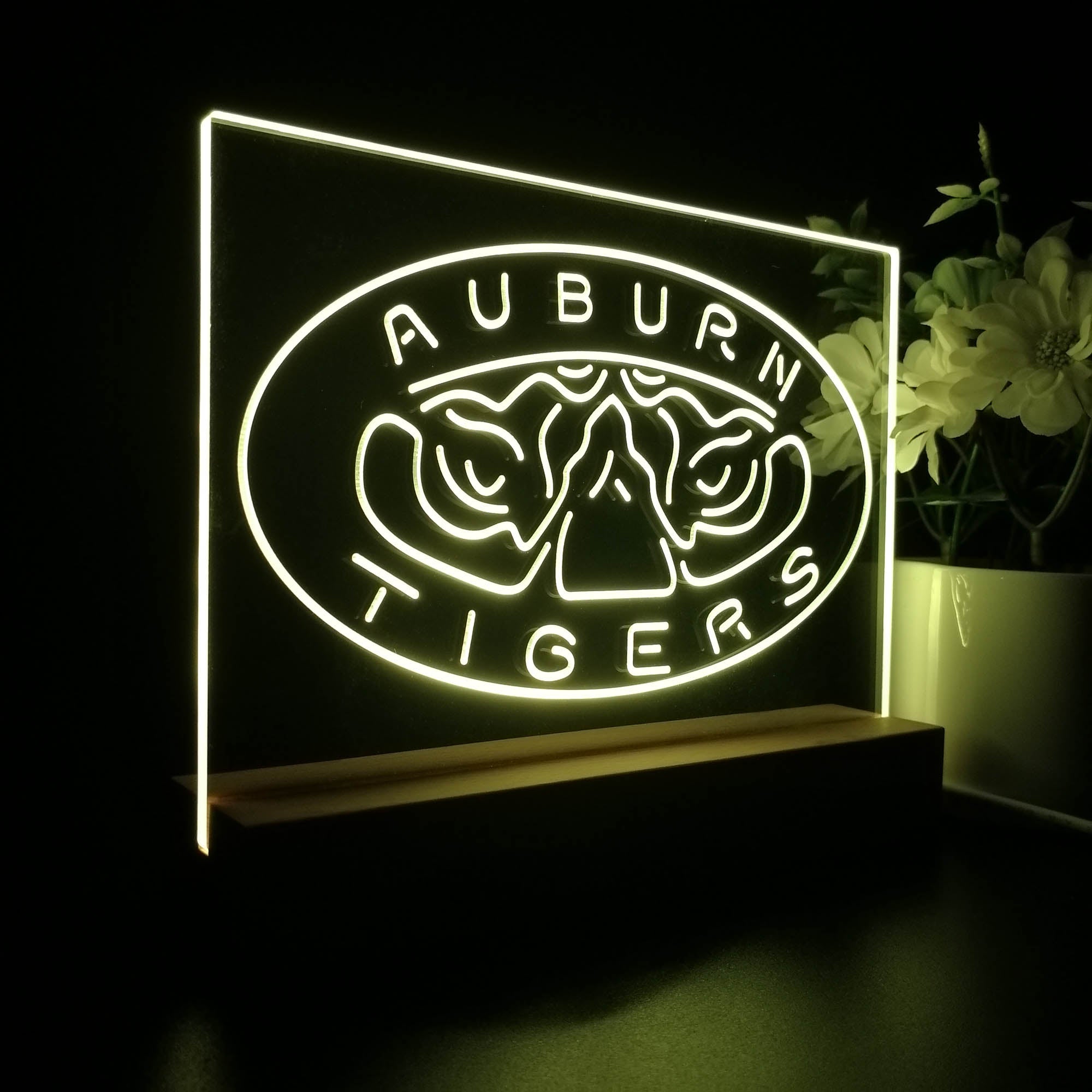 Auburn Tigers Sport Team Night Light 3D Illusion Lamp