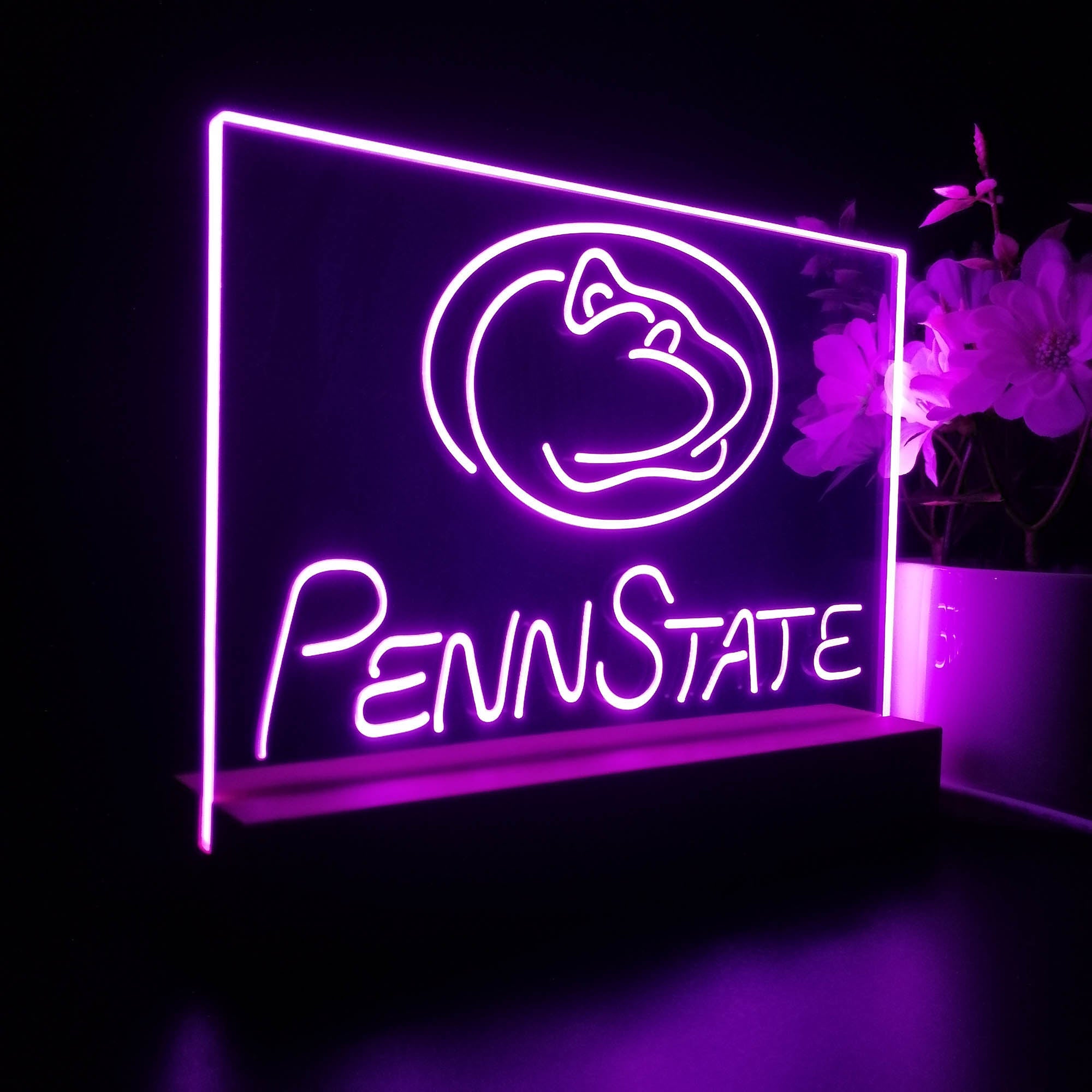 Penn State Nittany Lions Night Light LED Sign