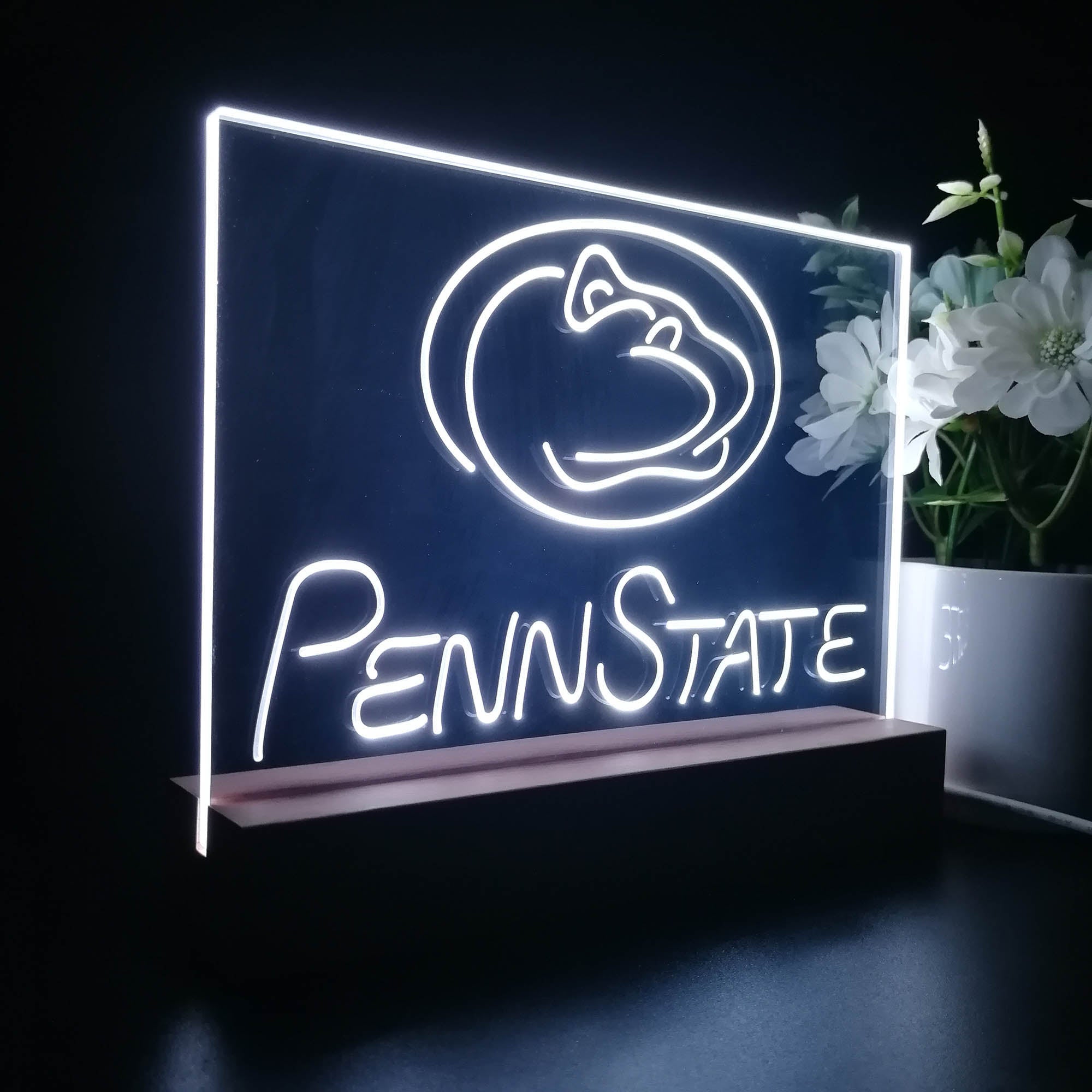 Penn State Nittany Lions Night Light LED Sign