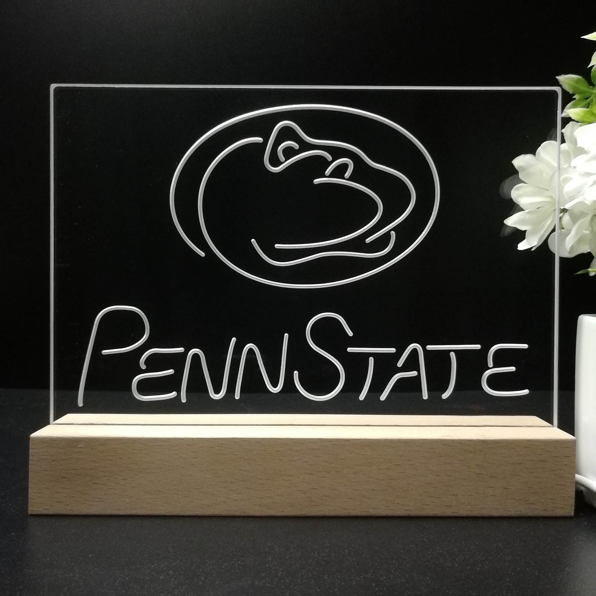 Penn State Nittany Lions Night Light LED Sign