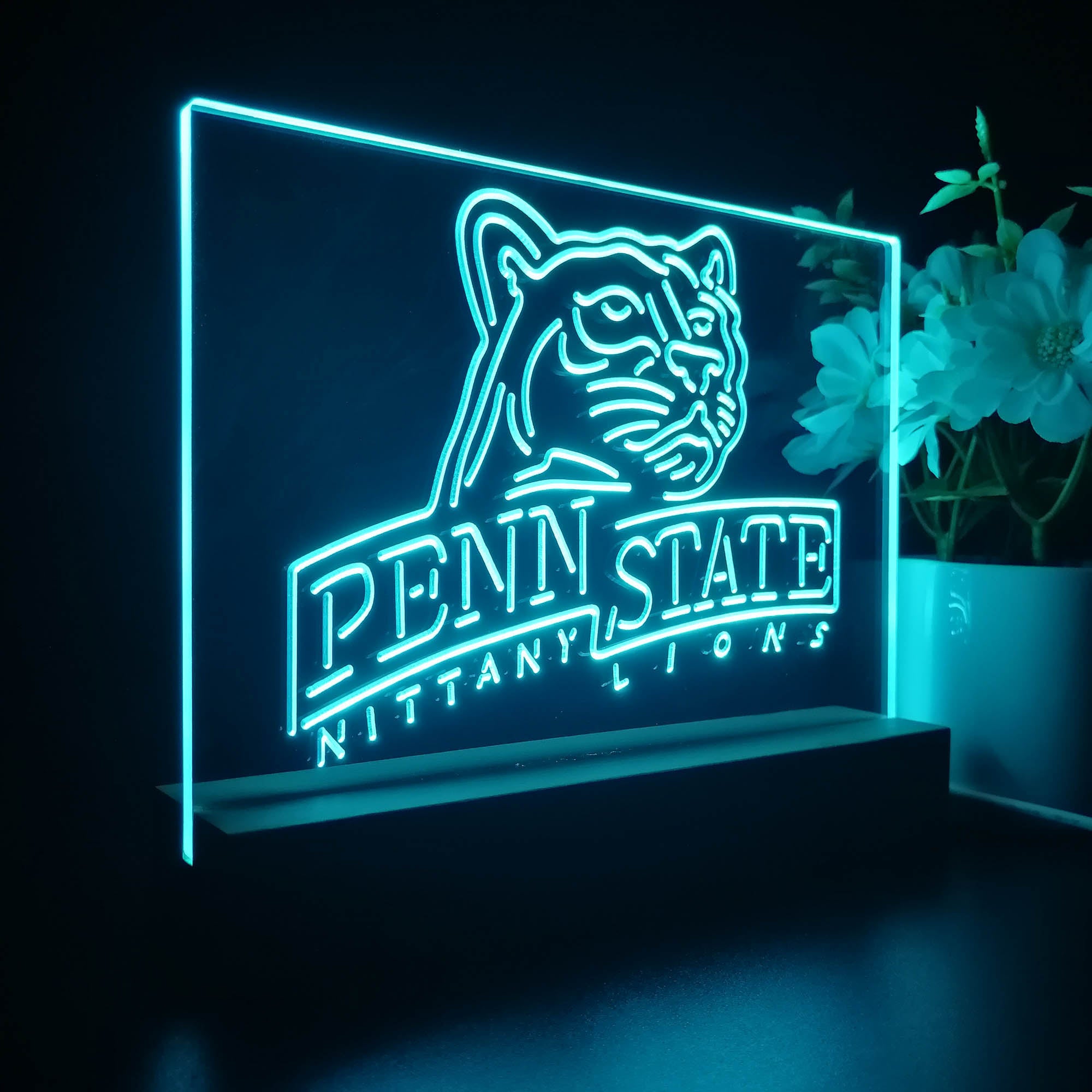 Penn State Nittany Lions Sport Team Night Light 3D Illusion Lamp