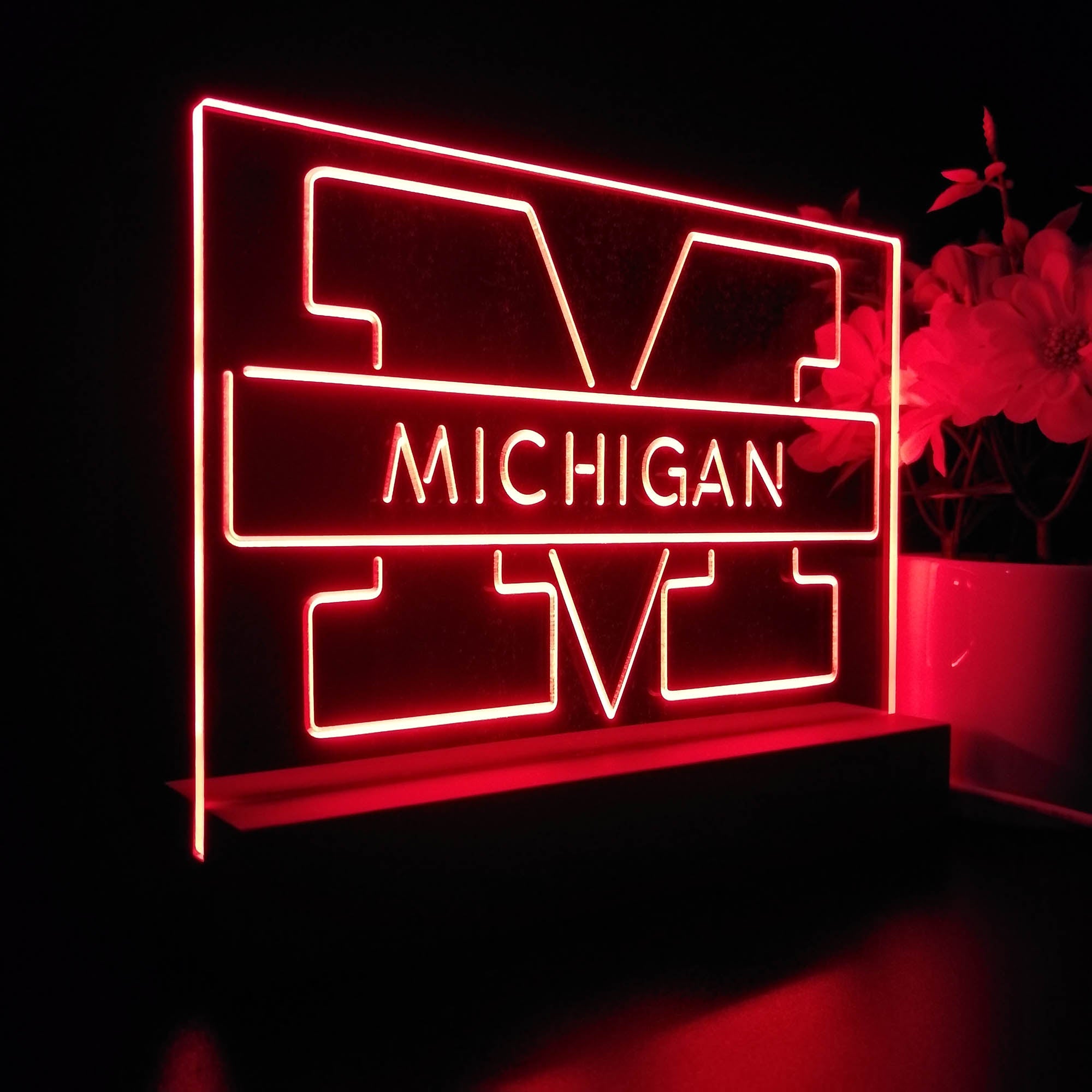 Michigan Wolverines Sport Team Night Light 3D Illusion Lamp