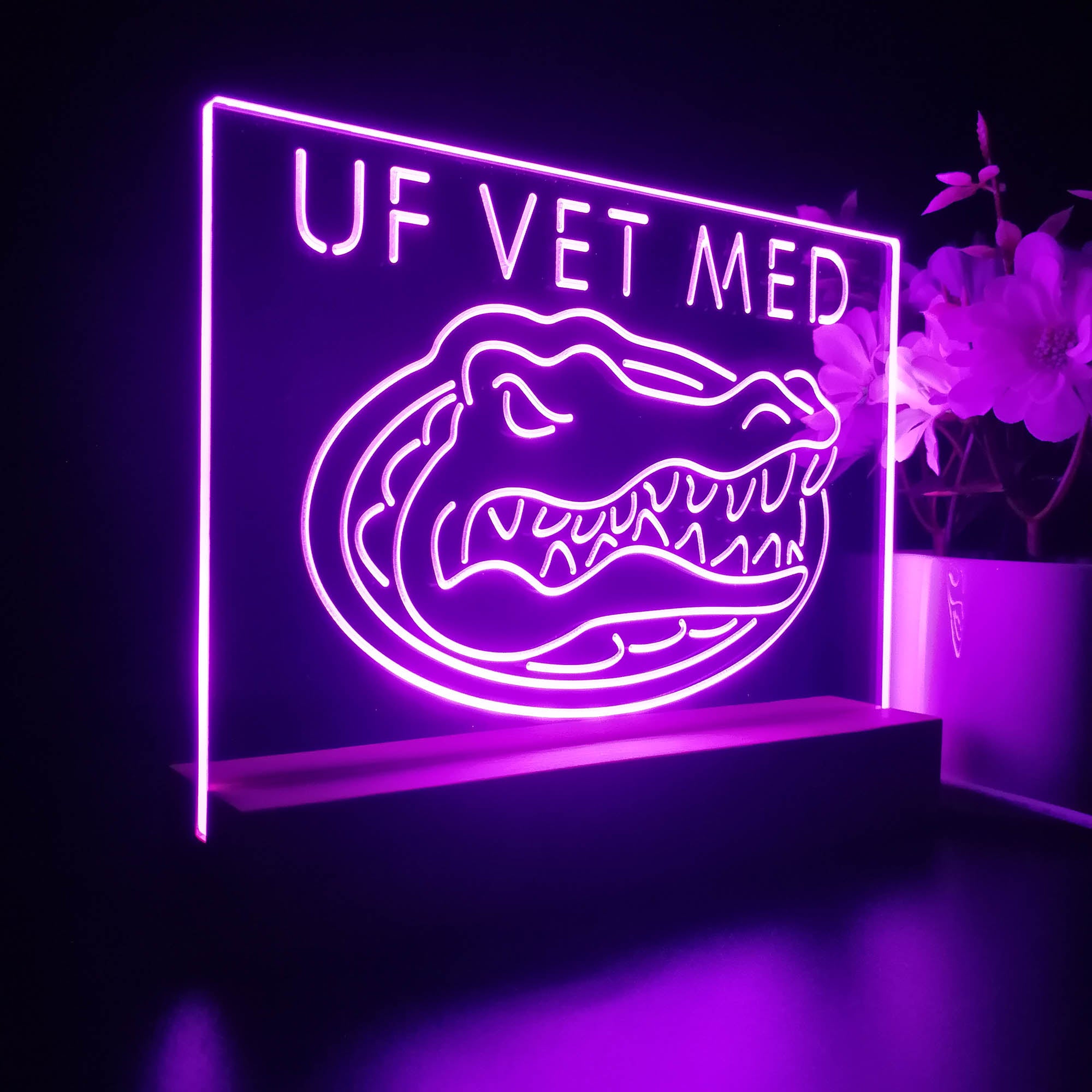 Florida Gators Night Light LED Sign