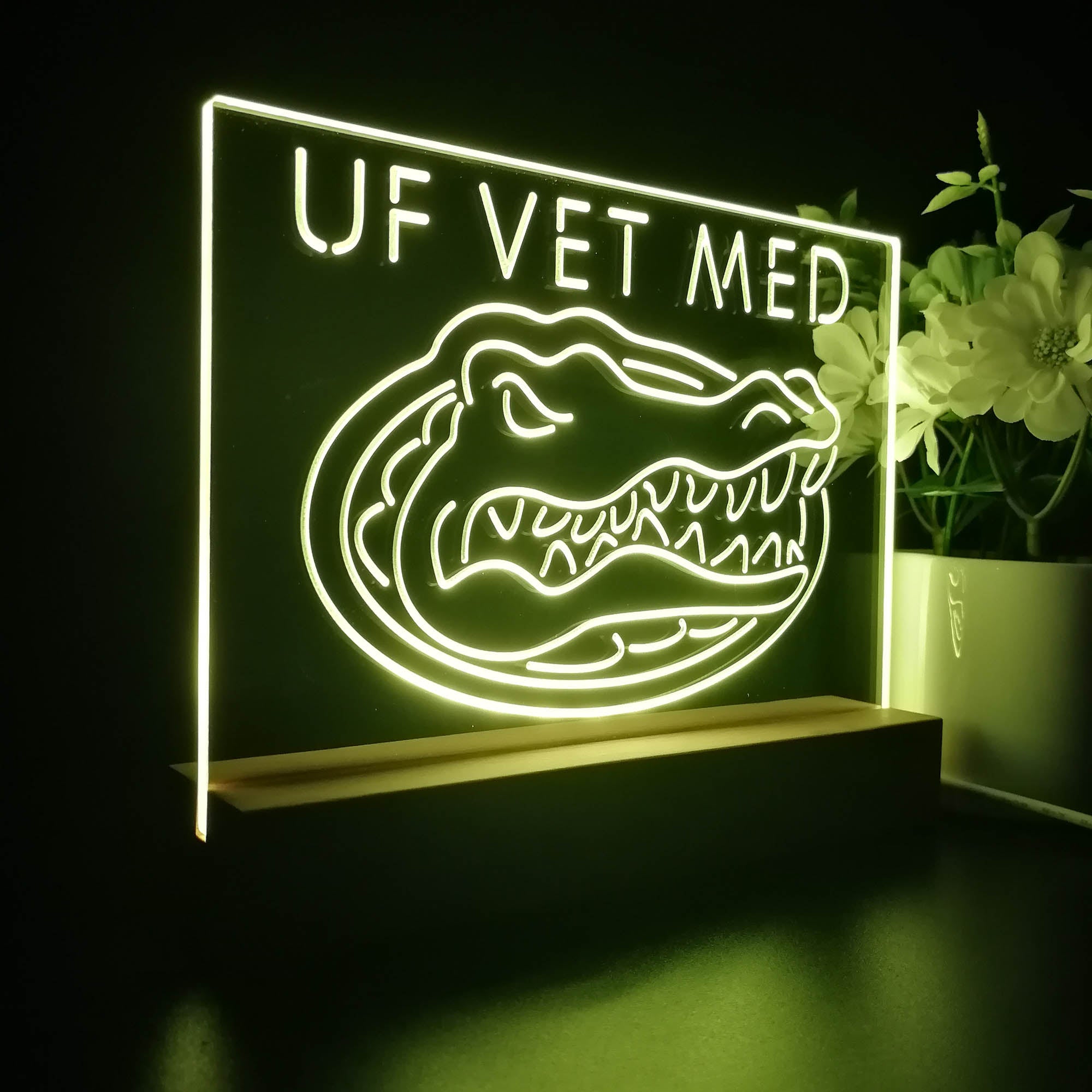 Florida Gators Night Light LED Sign