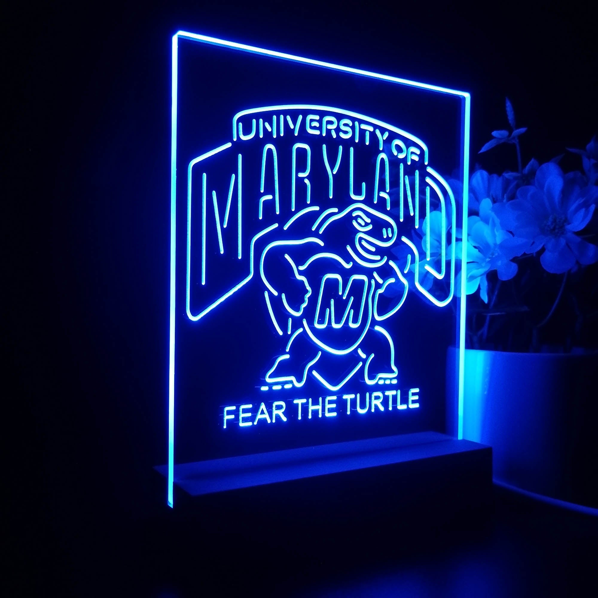 Maryland Turtle Fear The Turtle Night Light LED Sign