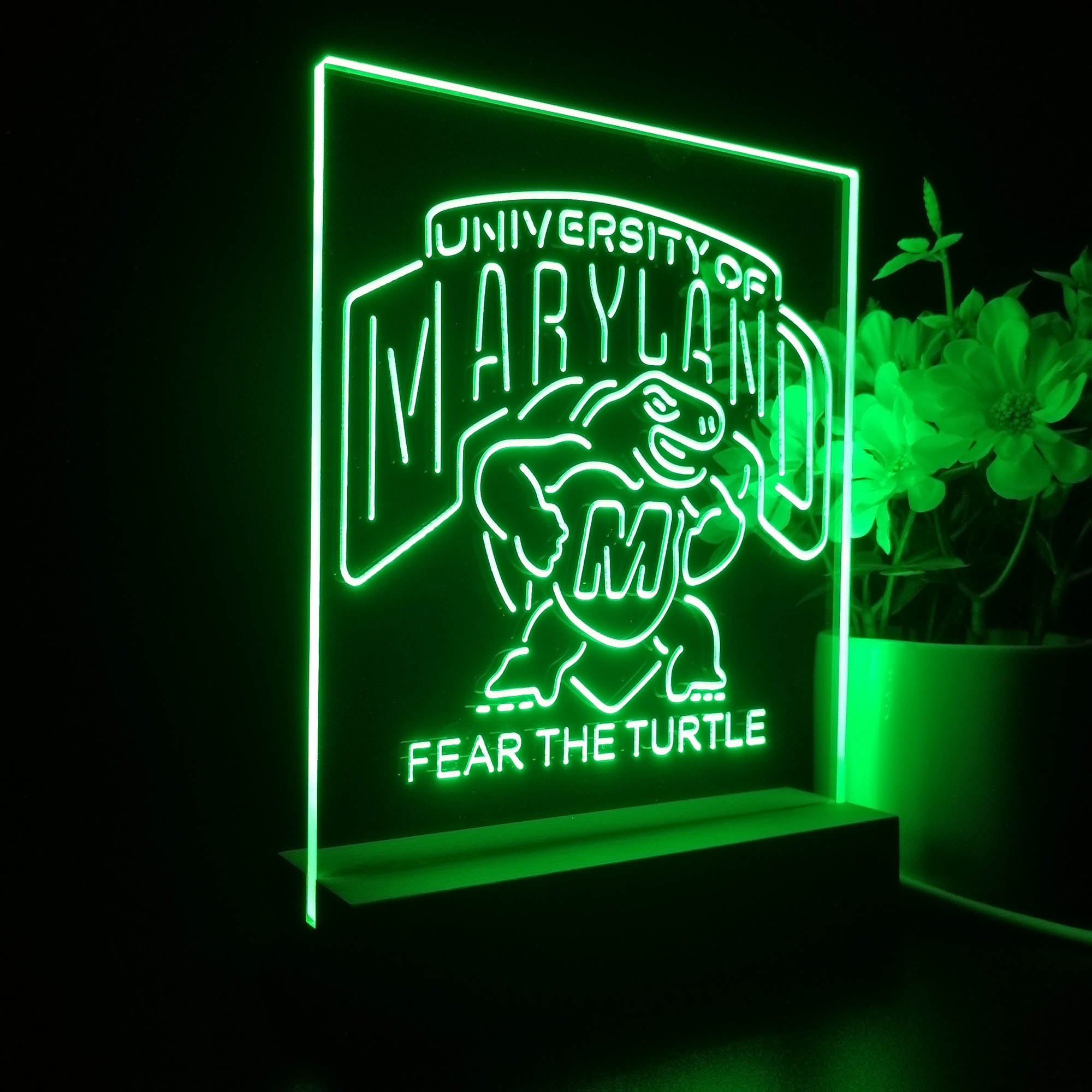 Maryland Turtle Fear The Turtle Night Light LED Sign