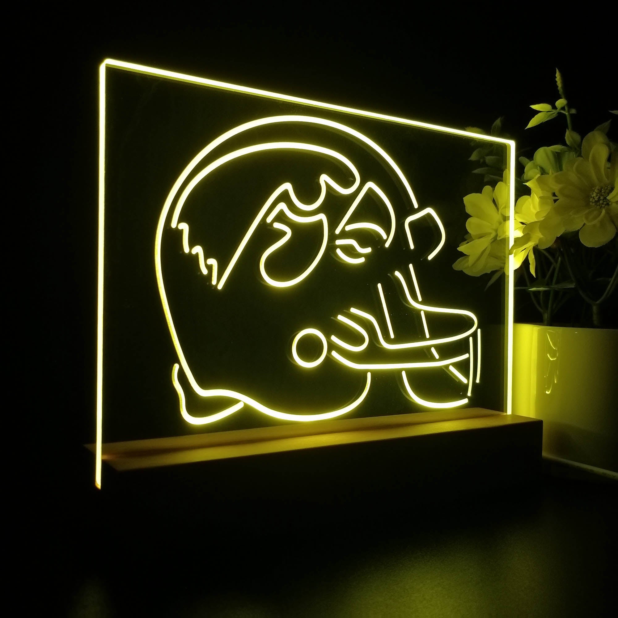 University of Iowa Hawkeyes Sport Team Night Light 3D Illusion Lamp