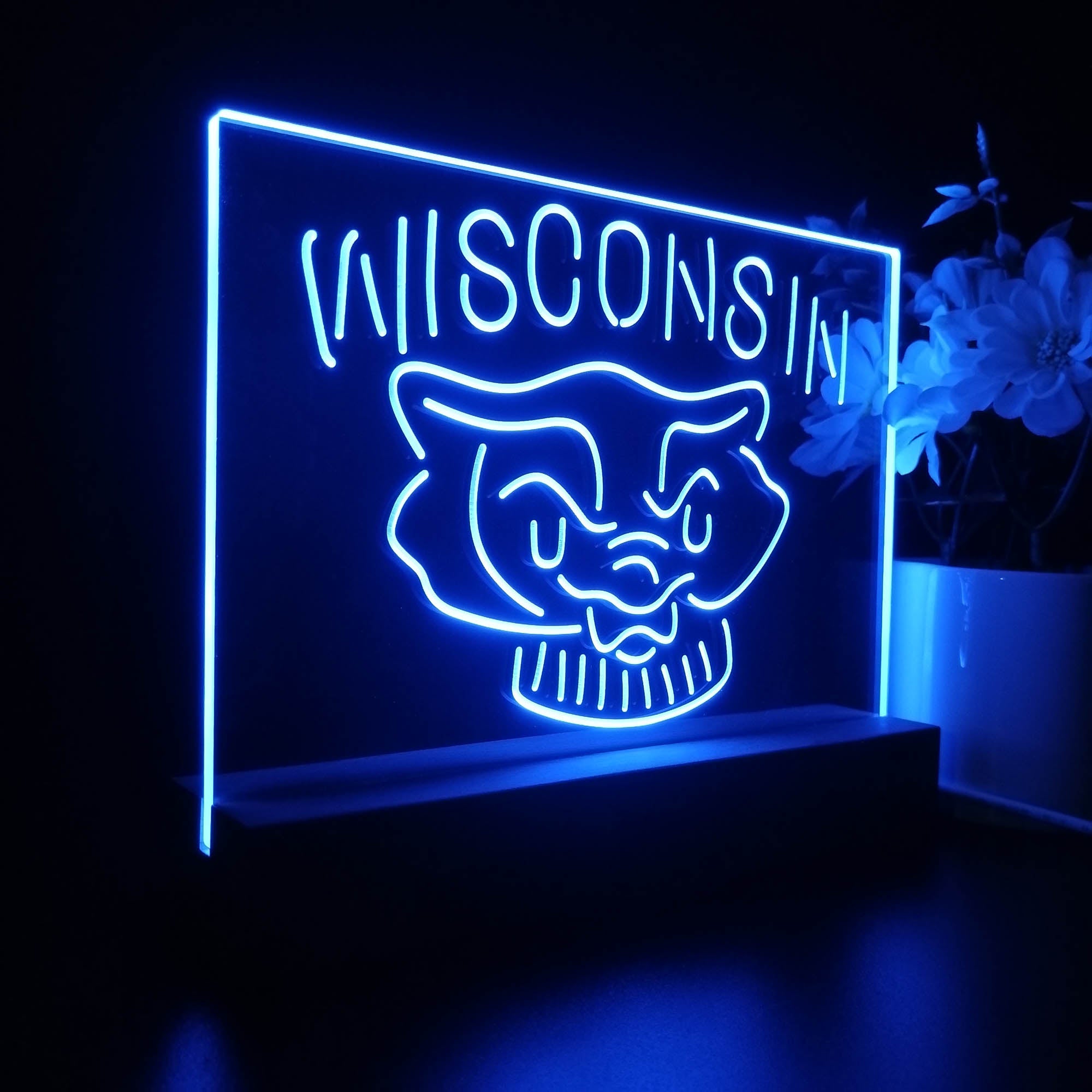 Wisconsin Badgers Night Light LED Sign