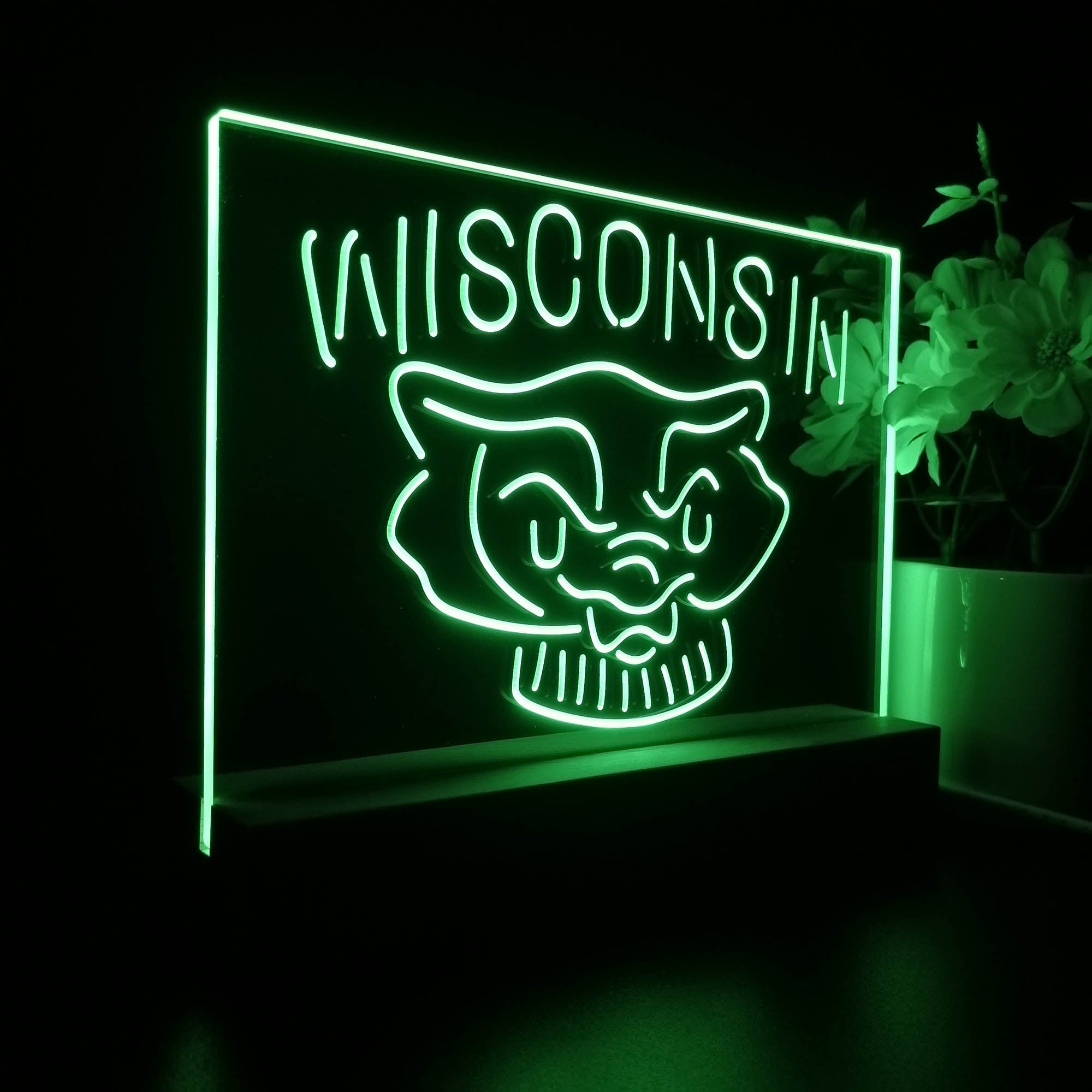 Wisconsin Badgers Night Light LED Sign