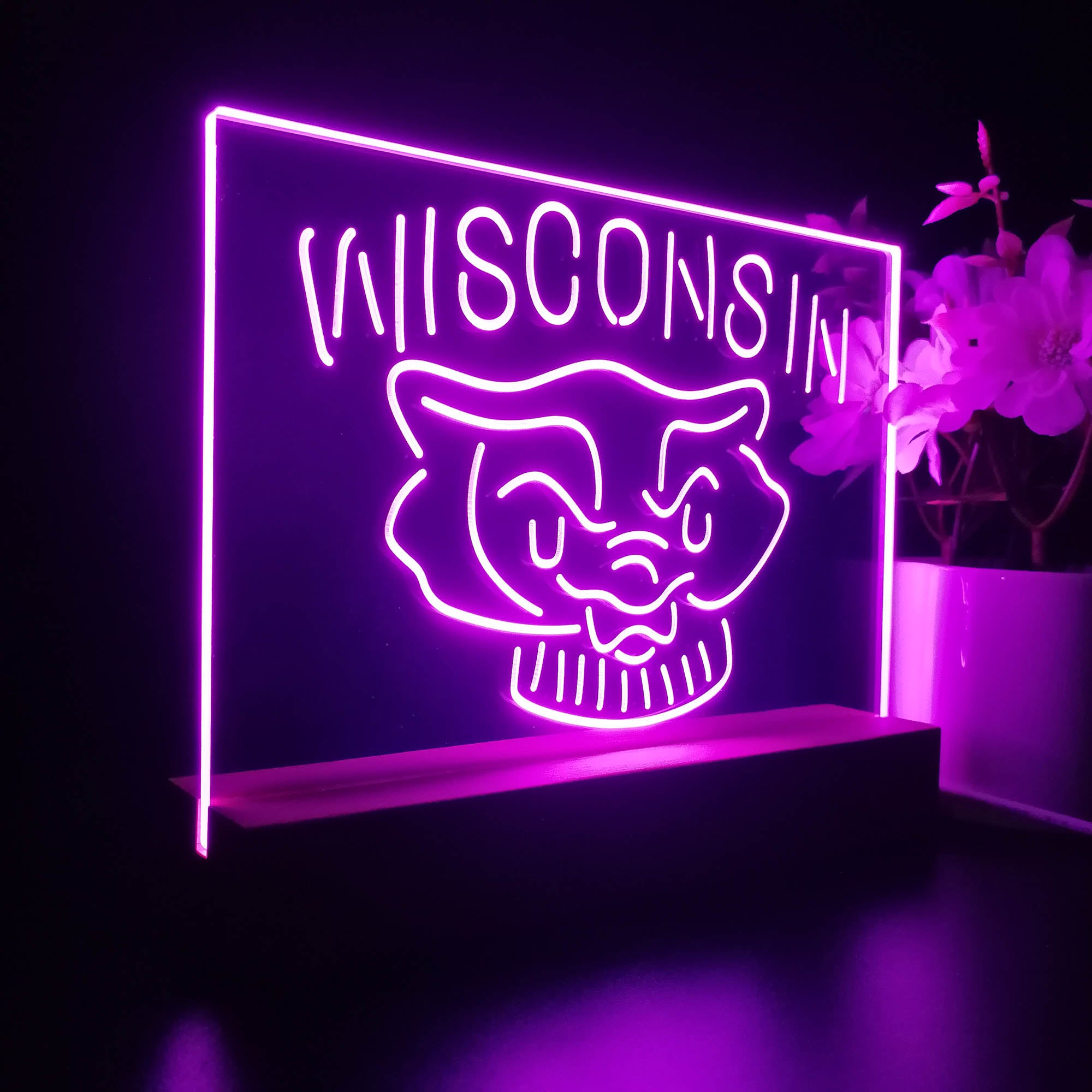 Wisconsin Badgers Night Light LED Sign