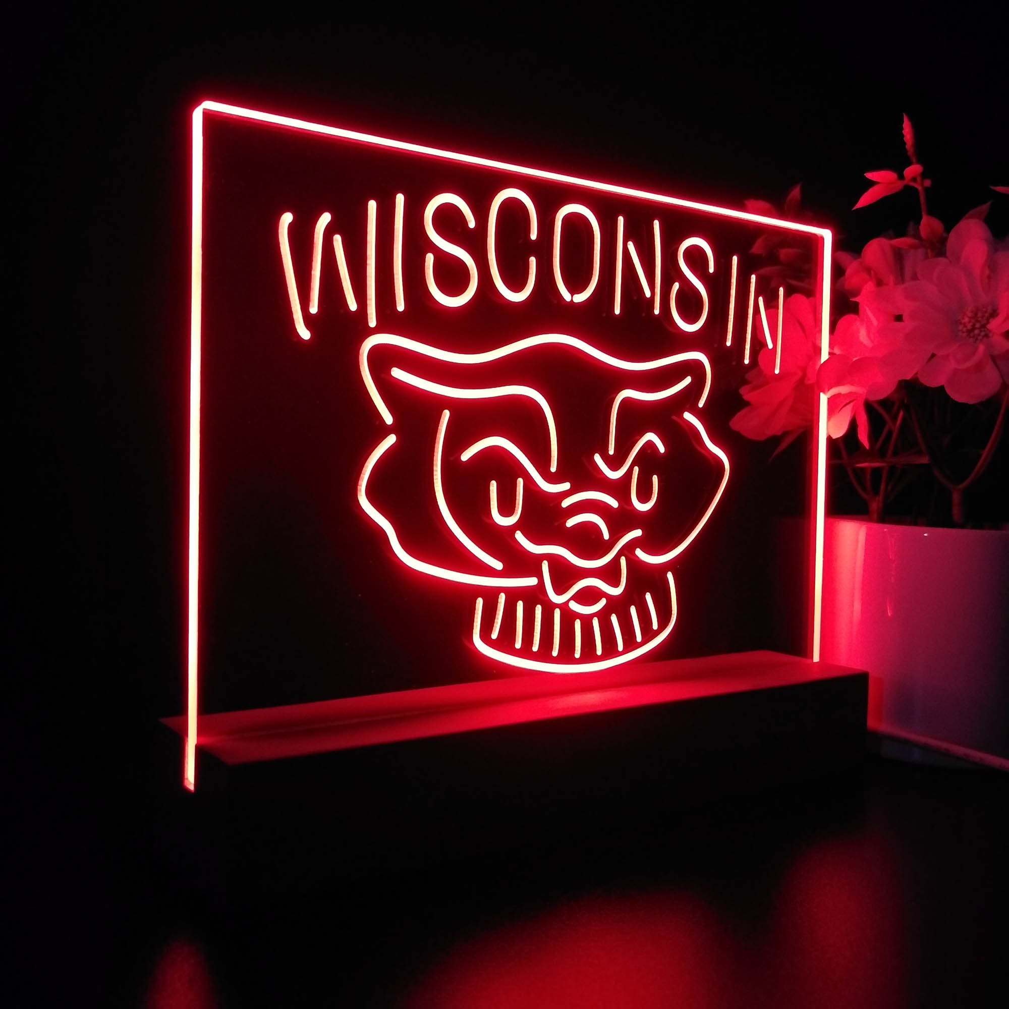 Wisconsin Badgers Night Light LED Sign