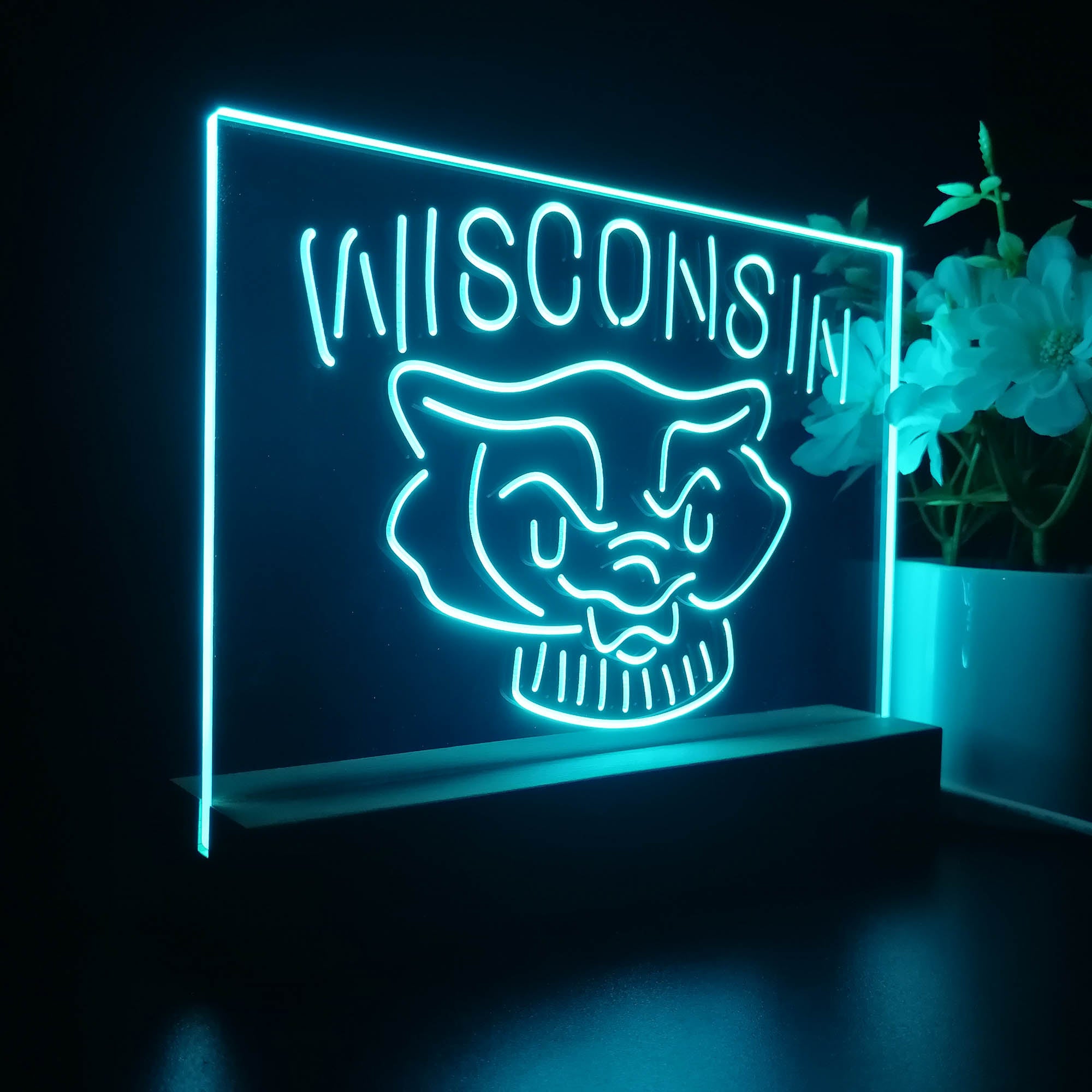 Wisconsin Badgers Night Light LED Sign