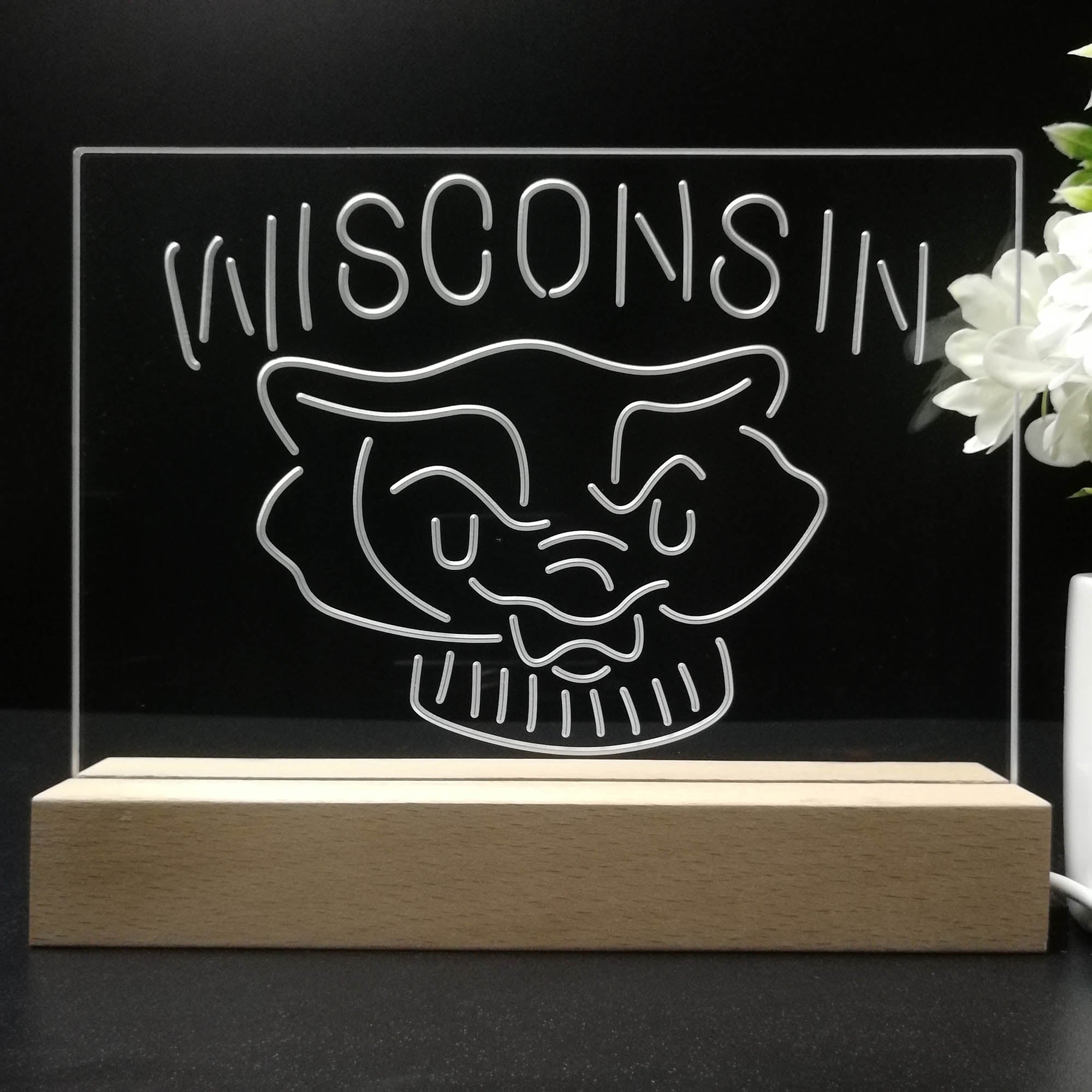 Wisconsin Badgers Night Light LED Sign