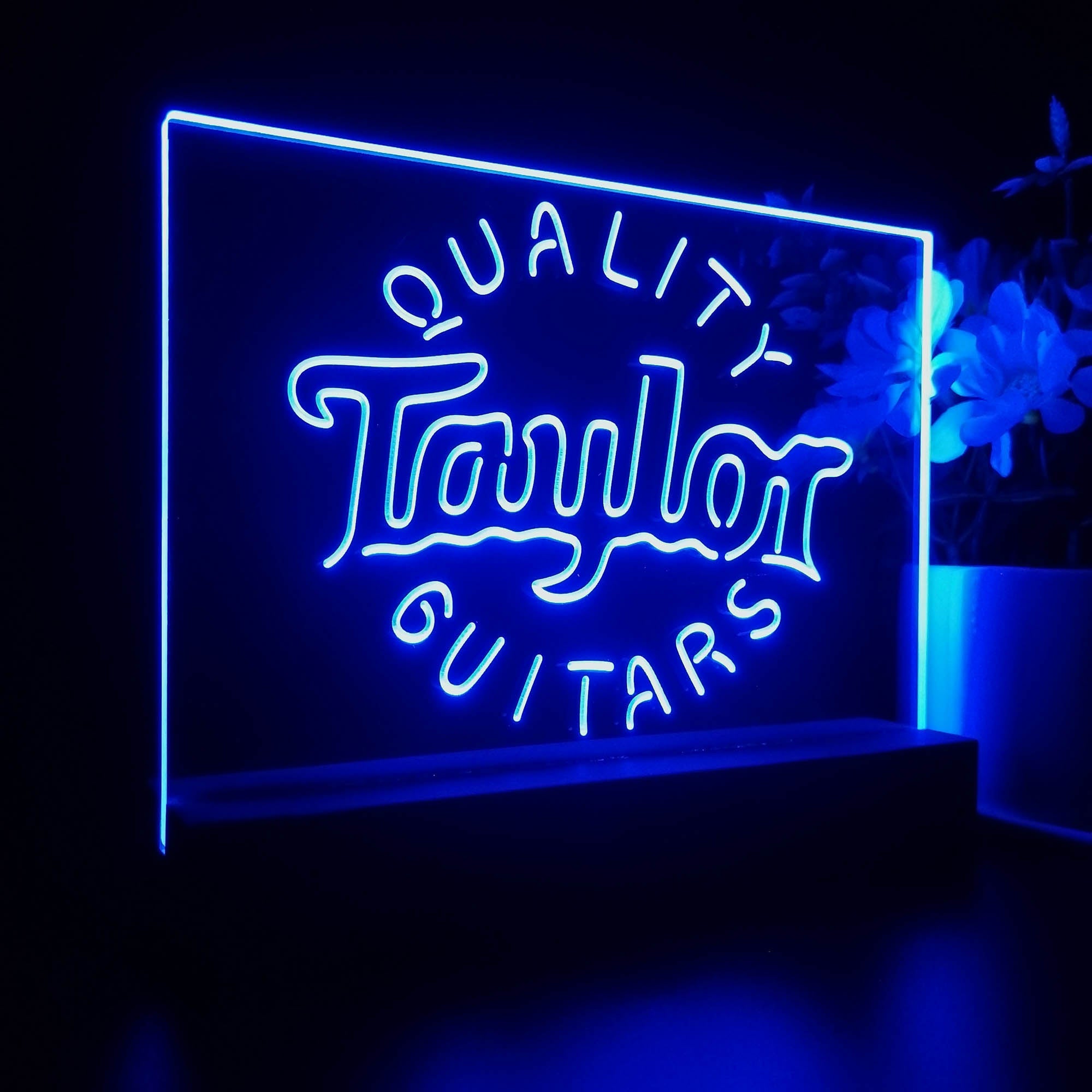Taylor Guitar Music Night Light LED Sign