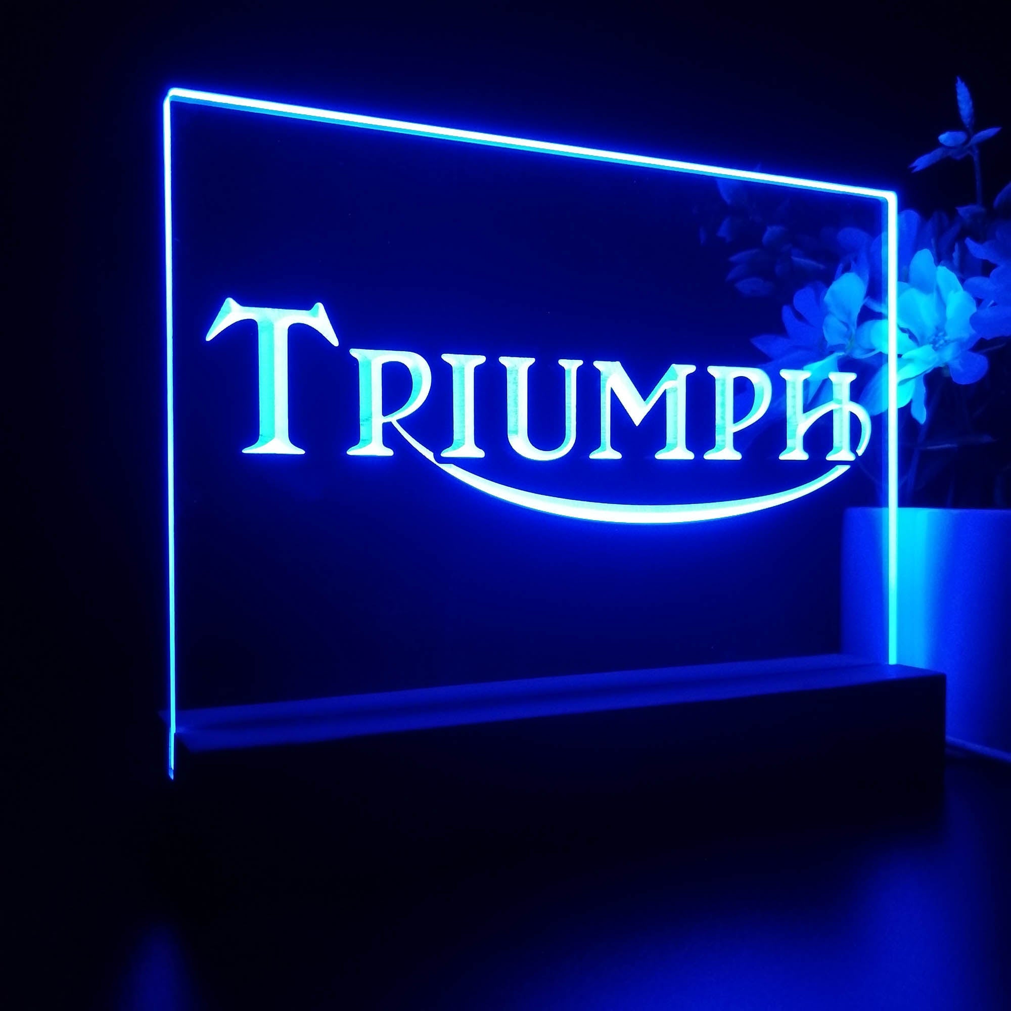 Triumph Car Truck Bar Night Light LED Sign