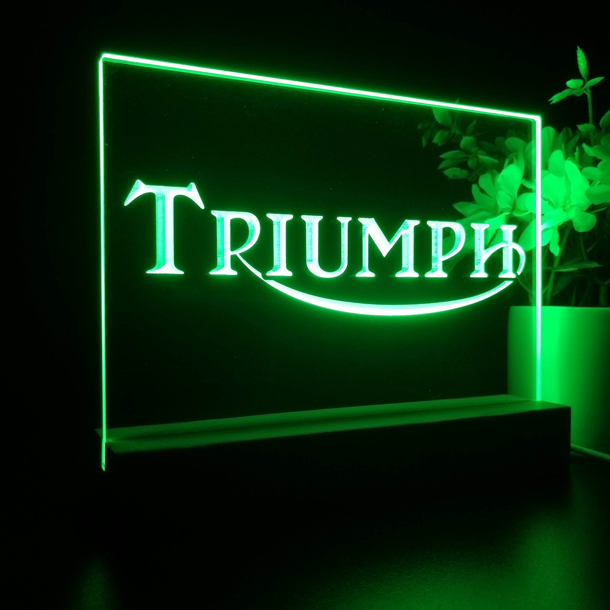 Triumph Car Truck Bar Night Light LED Sign
