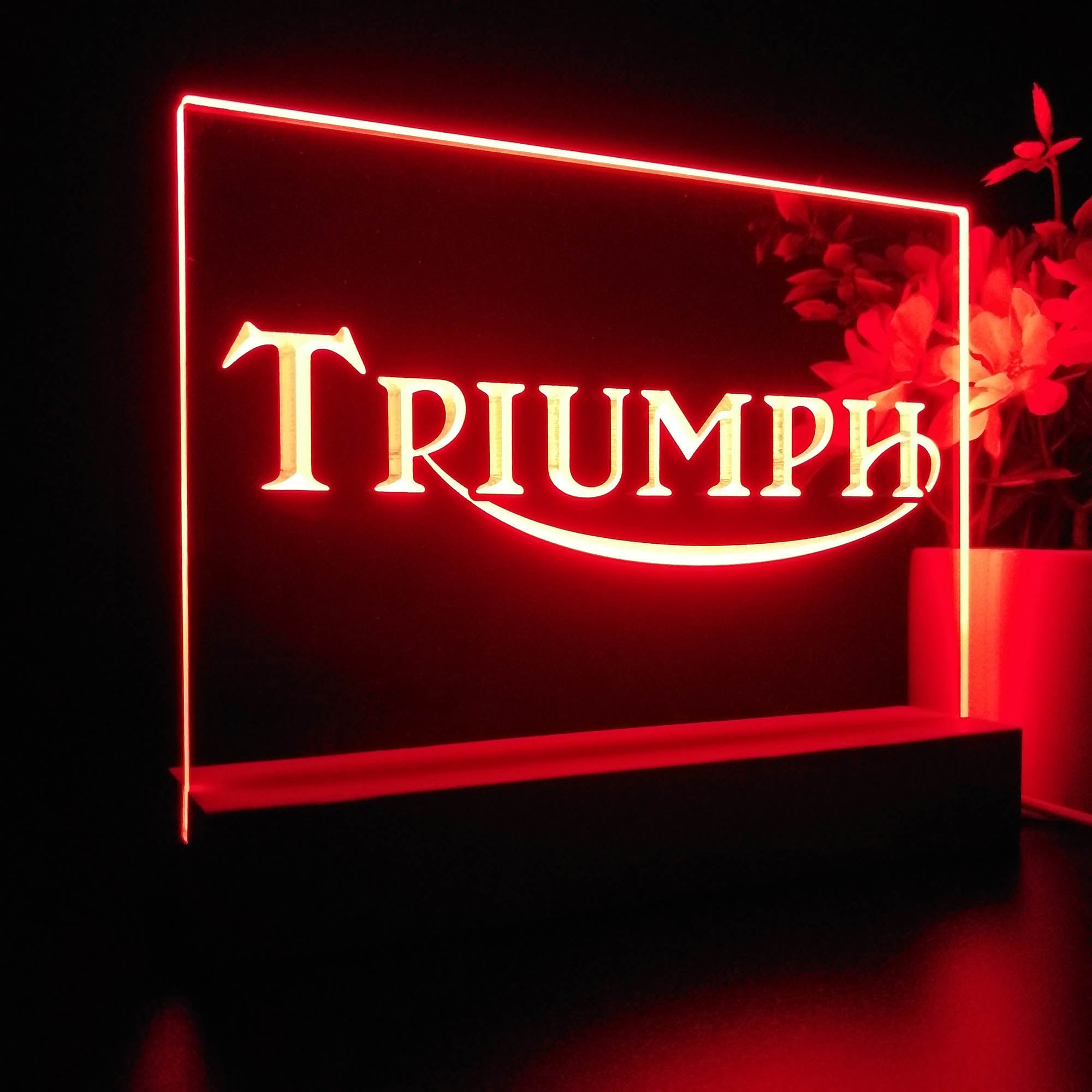 Triumph Car Truck Bar Night Light LED Sign