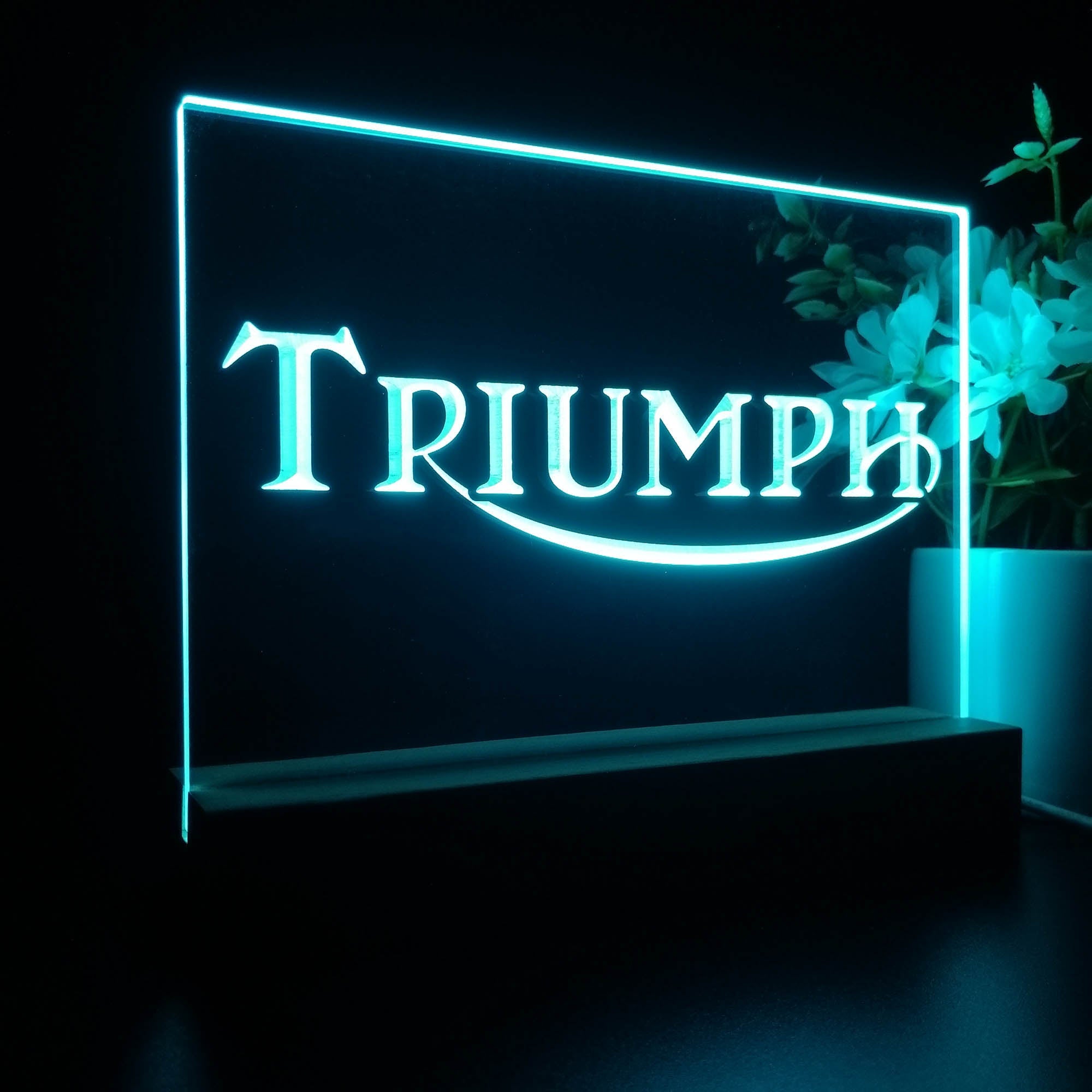 Triumph Car Truck Bar Night Light LED Sign