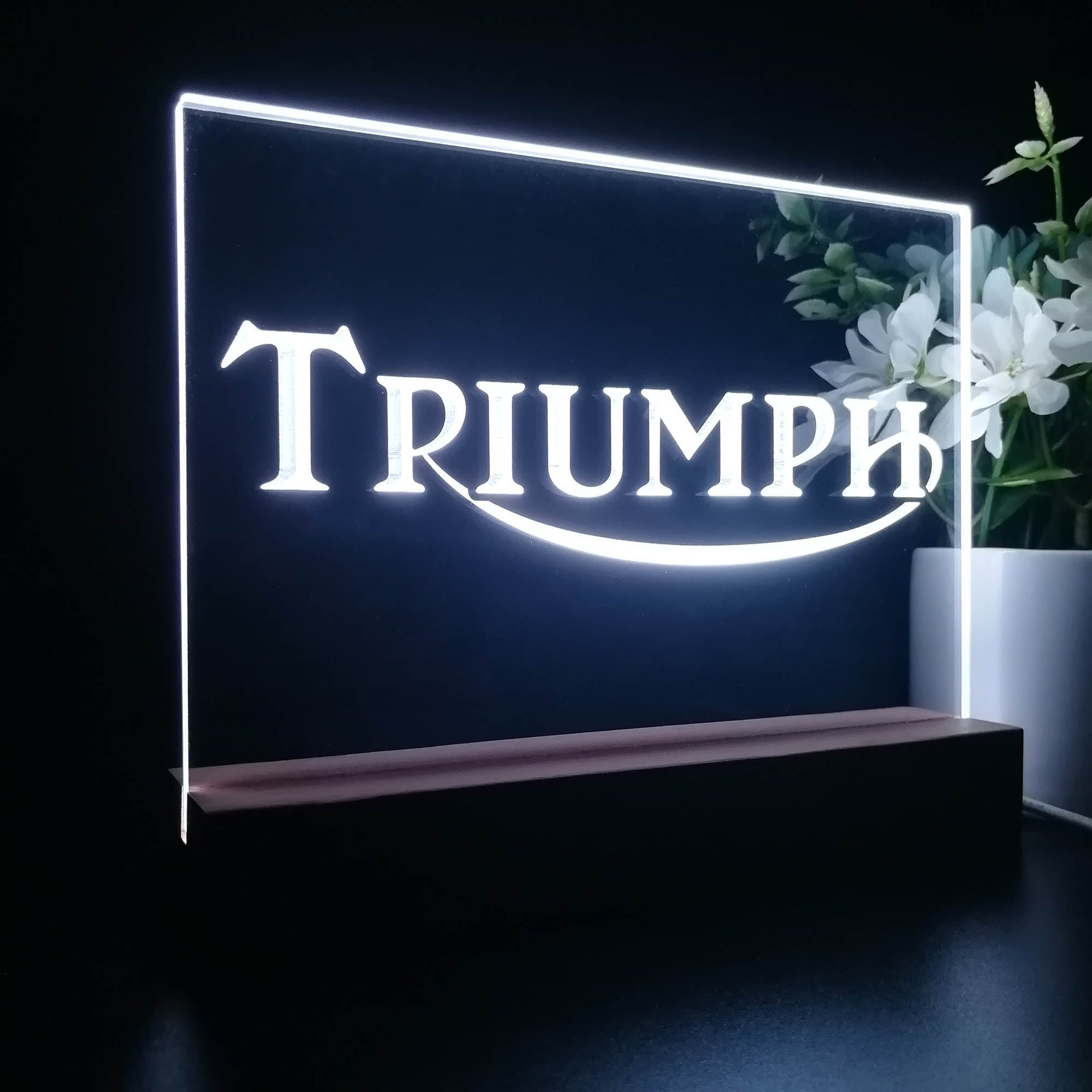 Triumph Car Truck Bar Night Light LED Sign